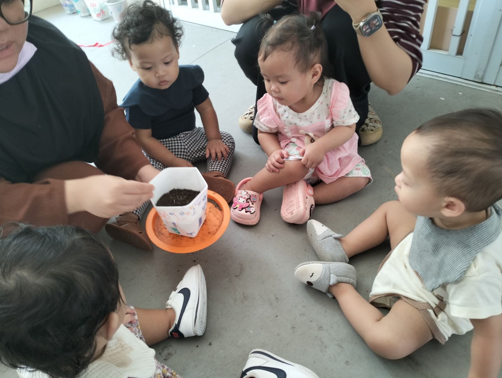 Planting your own Plant — photo 2