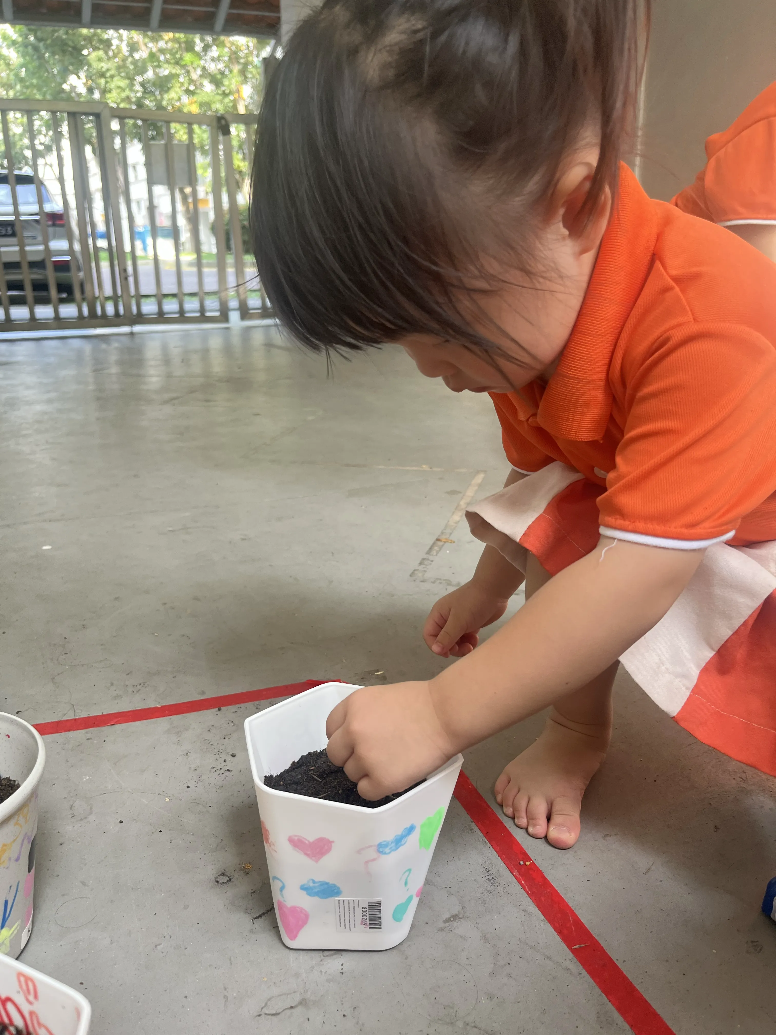 Planting your own Plant — photo 4
