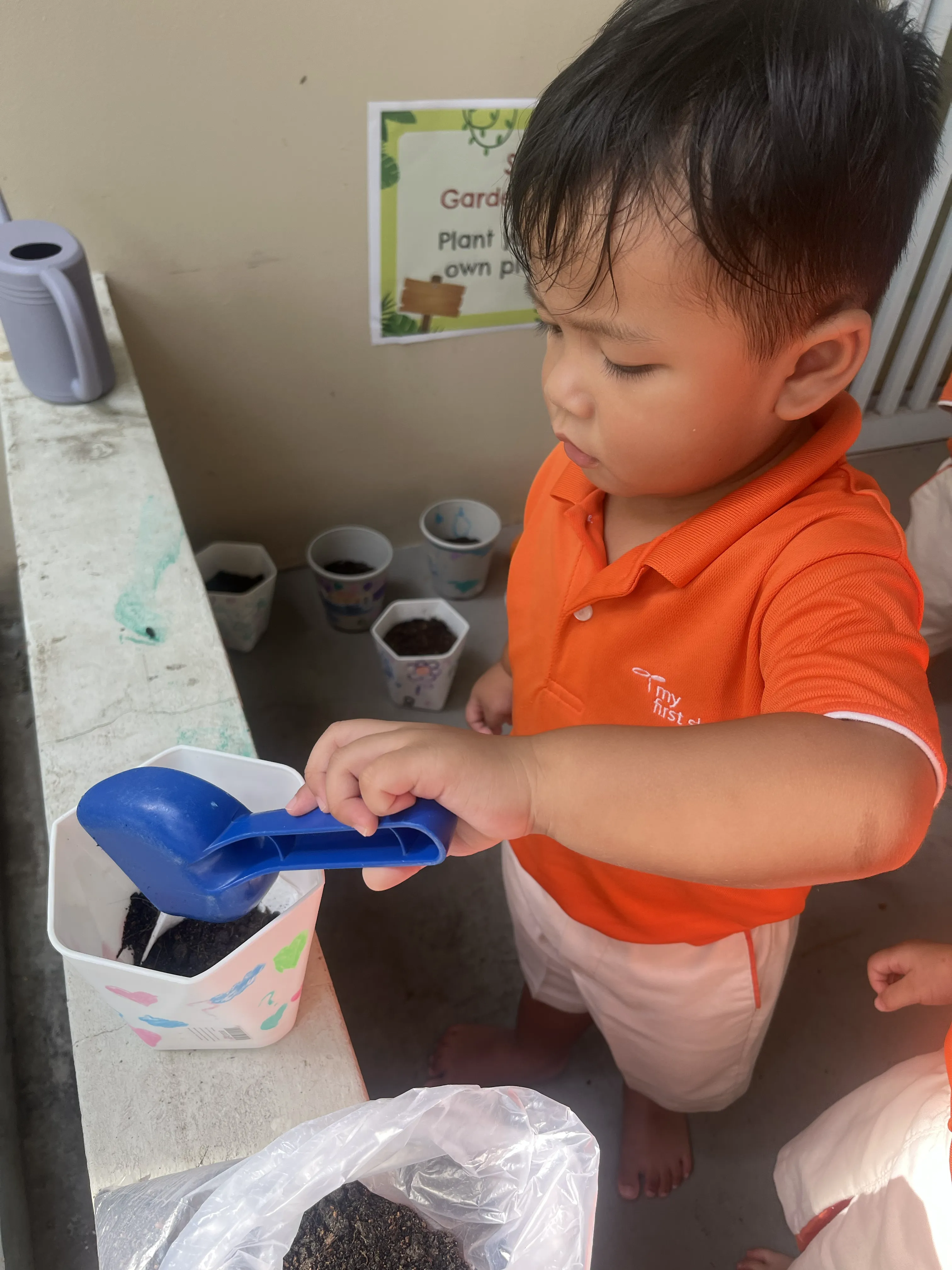 Planting your own Plant — photo 5