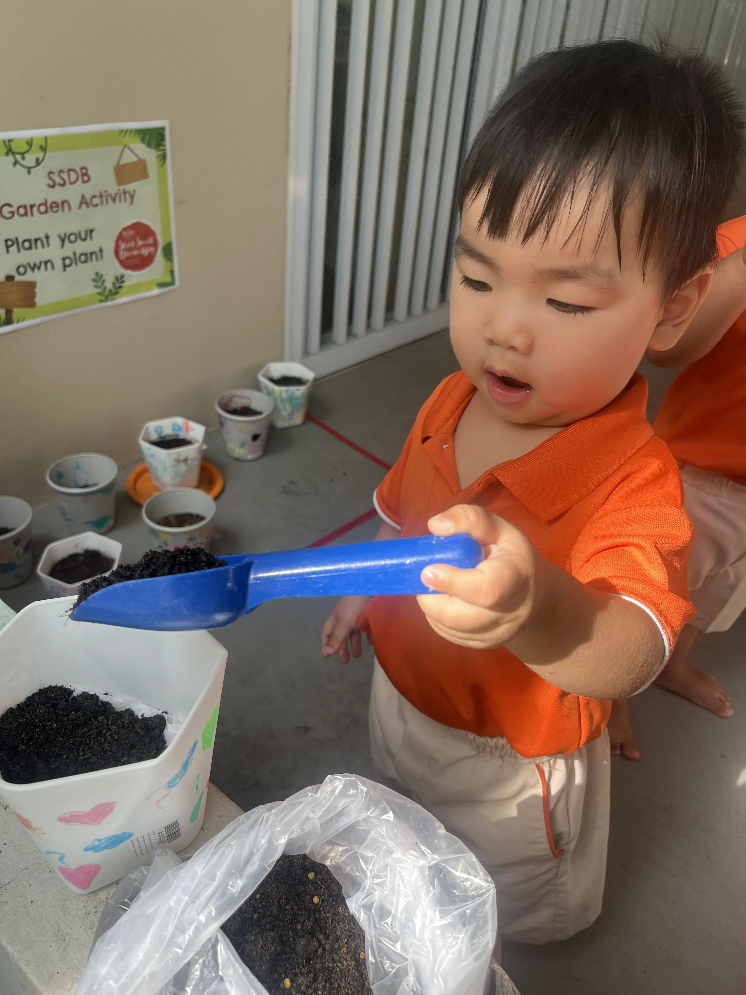 Planting your own Plant — photo 6