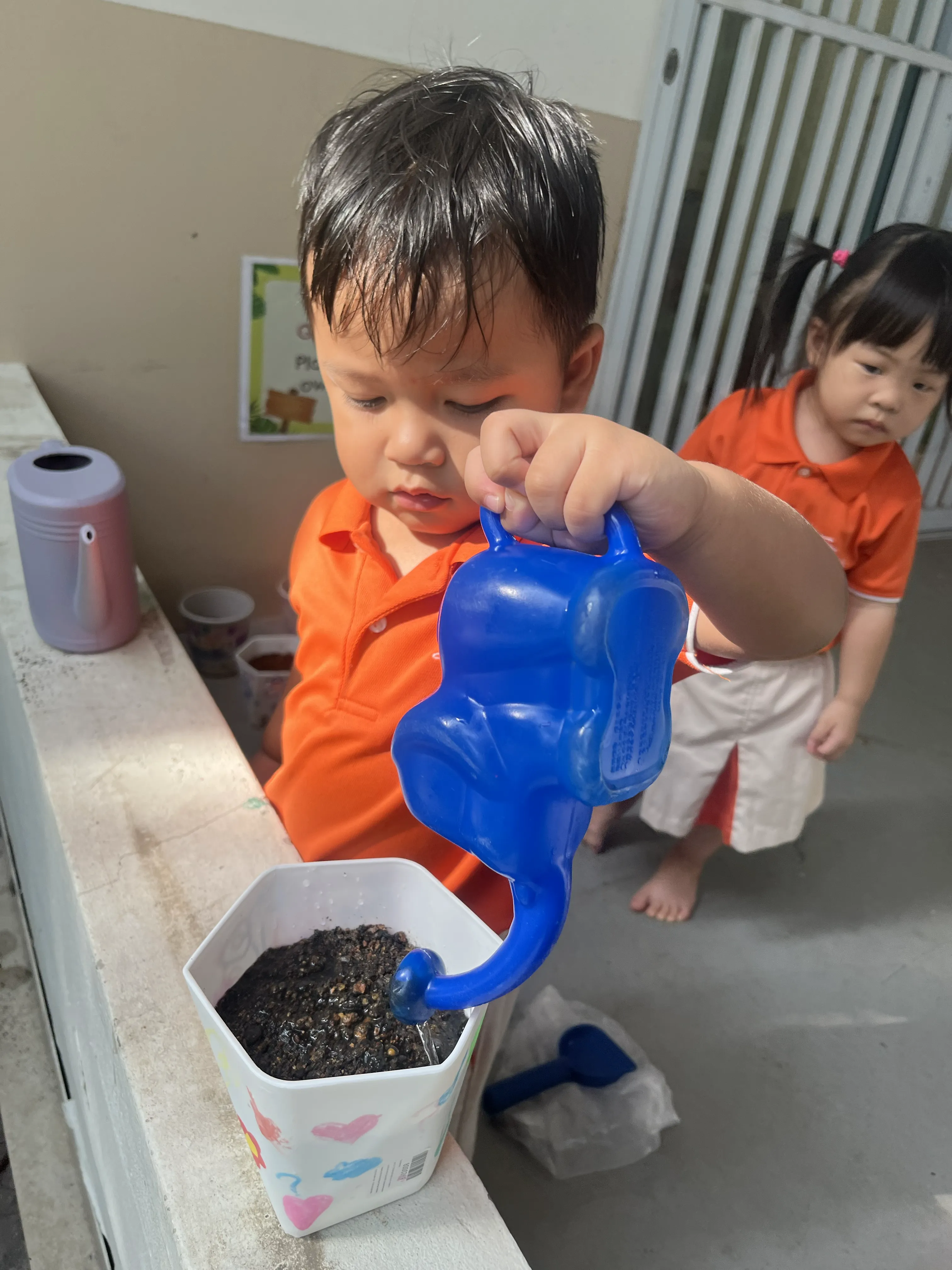 Planting your own Plant — photo 7