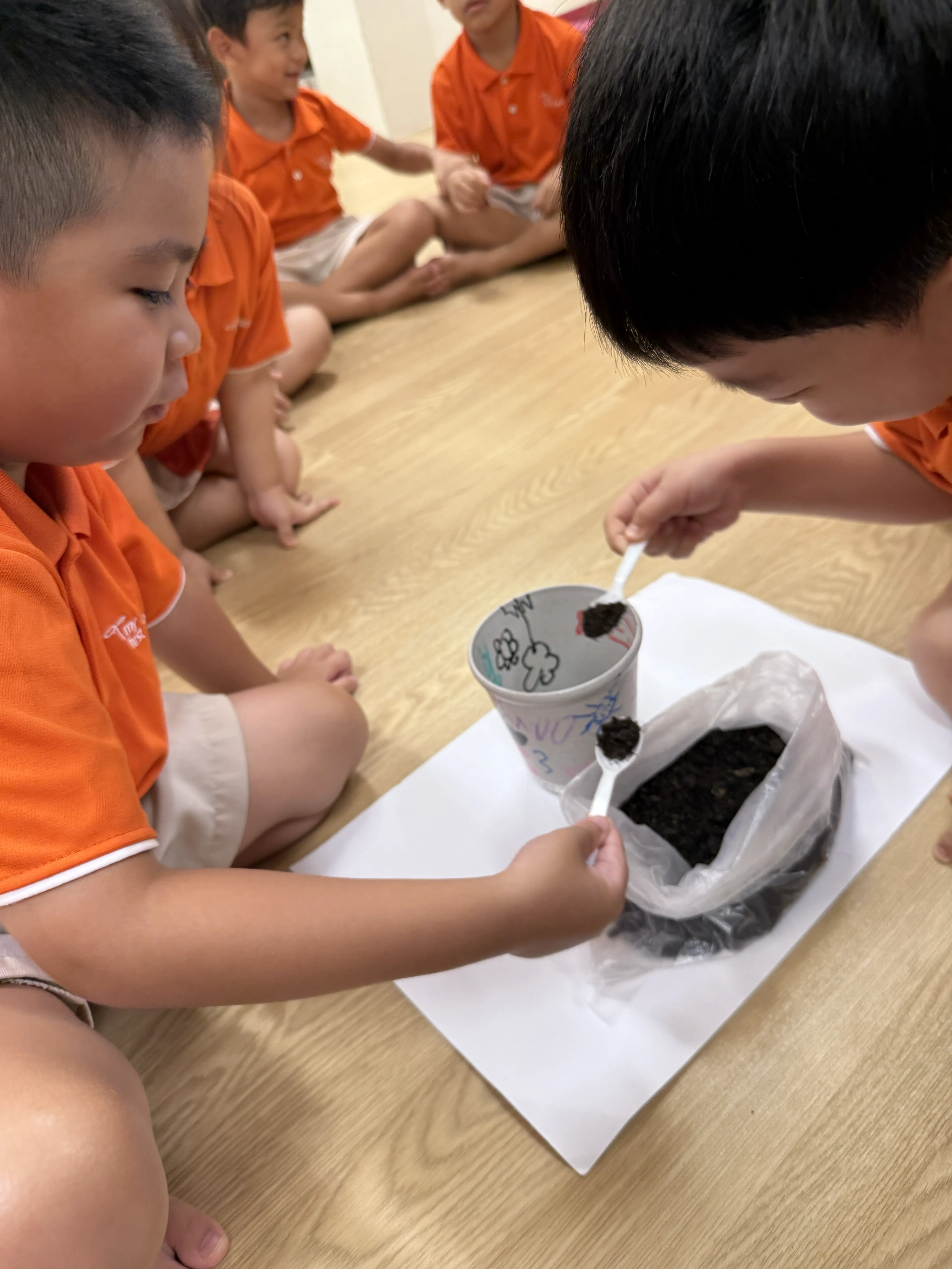Planting your own Plant — photo 1