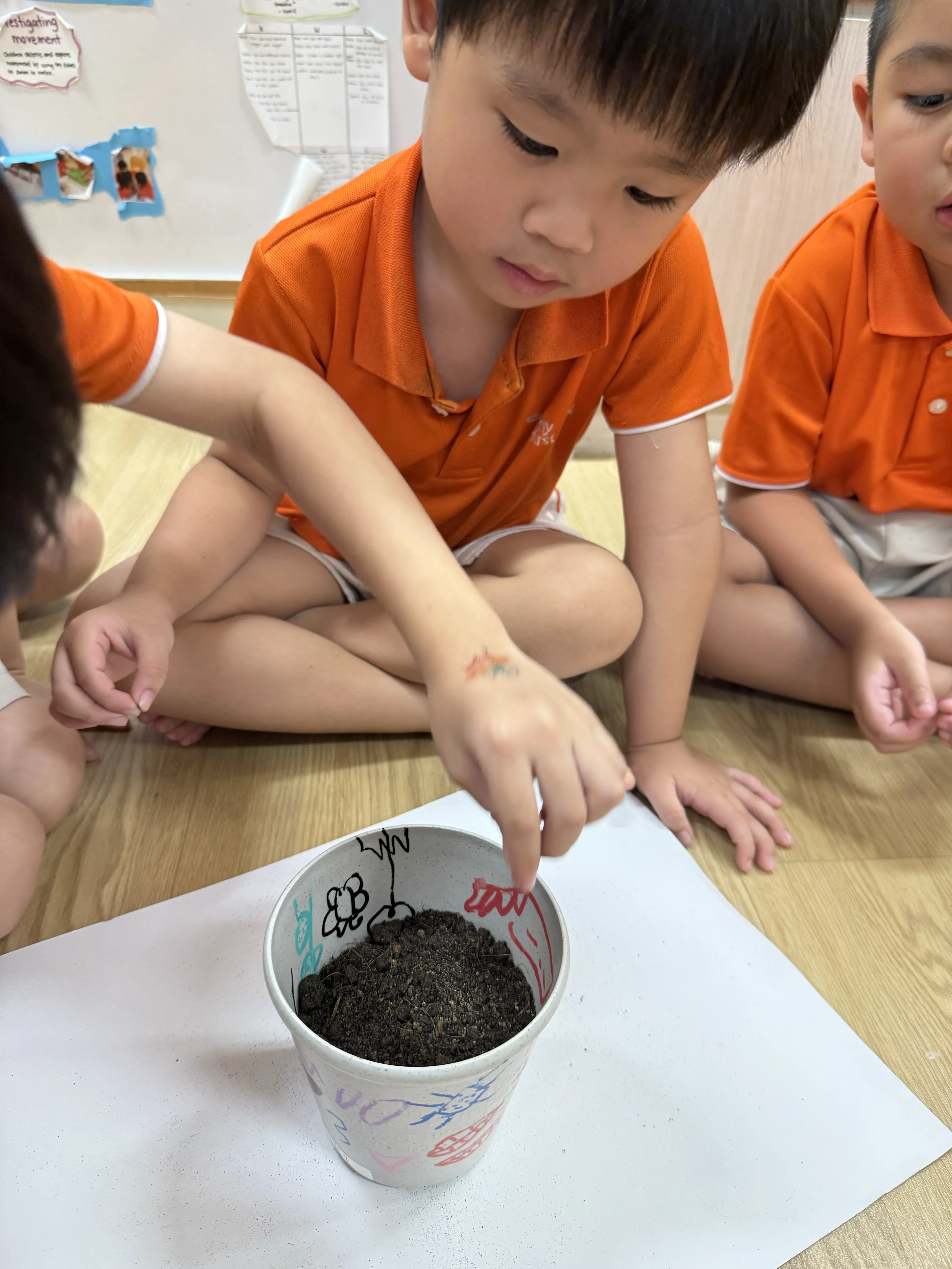 Planting your own Plant — photo 2