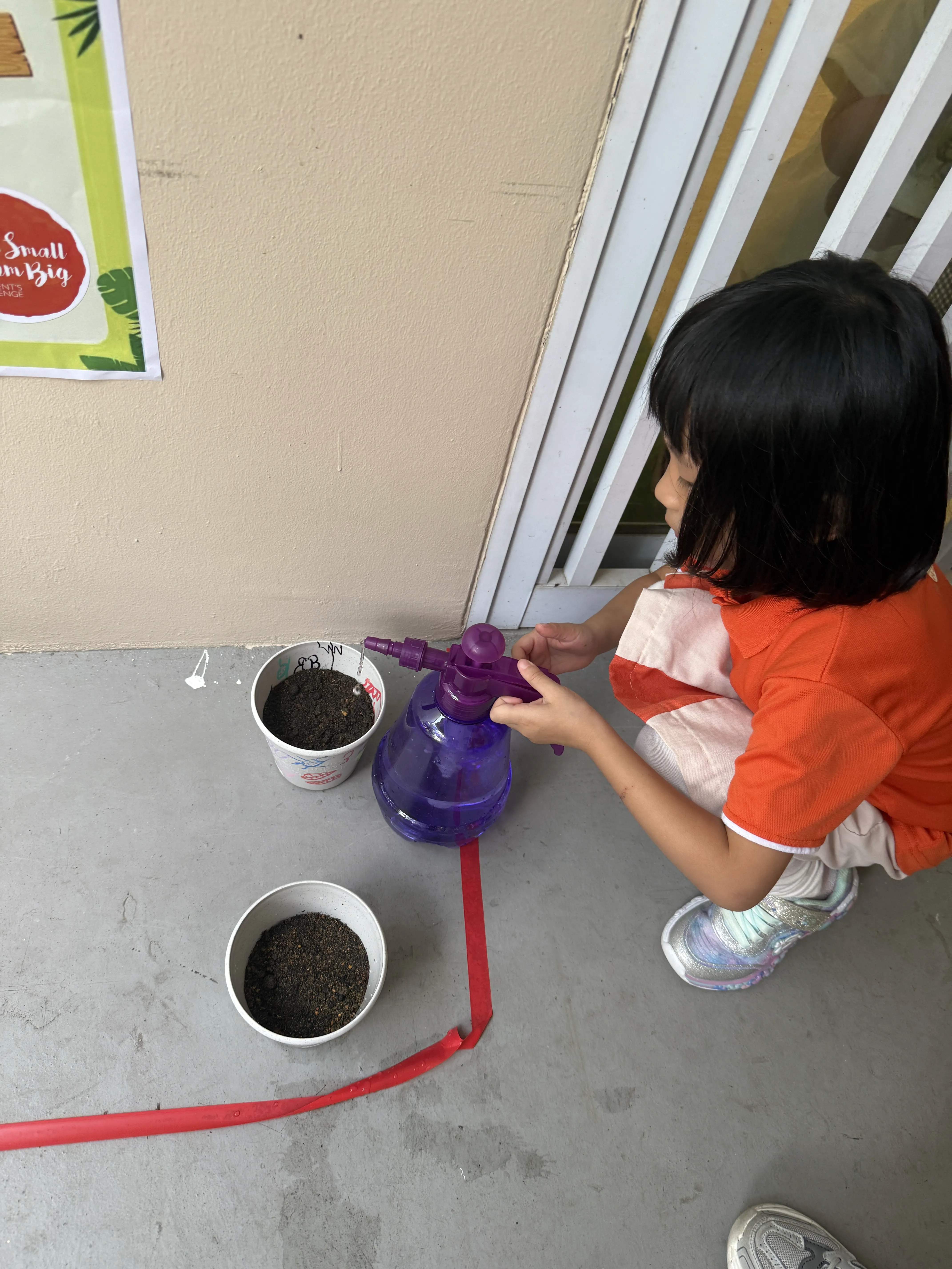 Planting your own Plant — photo 3