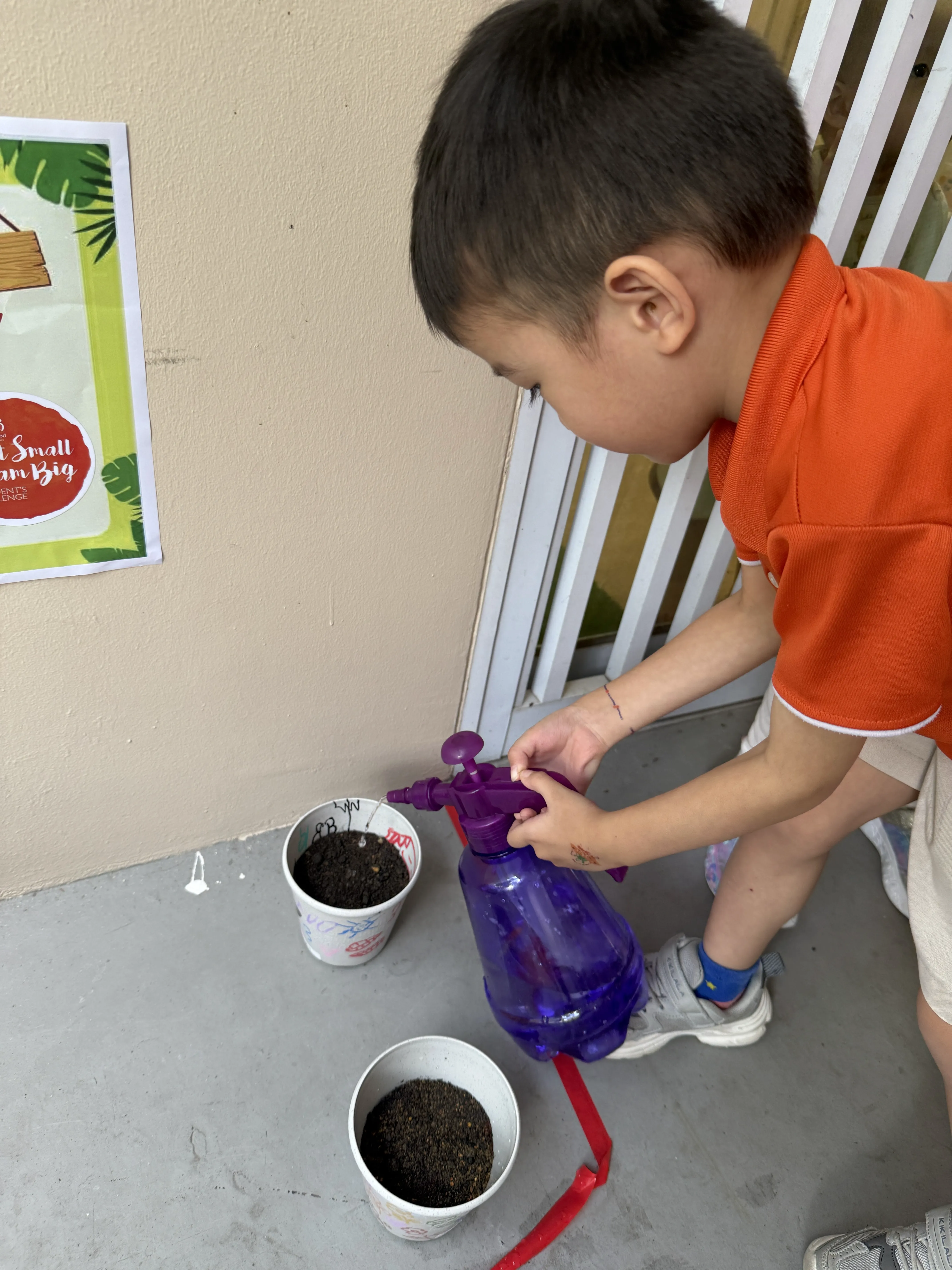 Planting your own Plant — photo 4