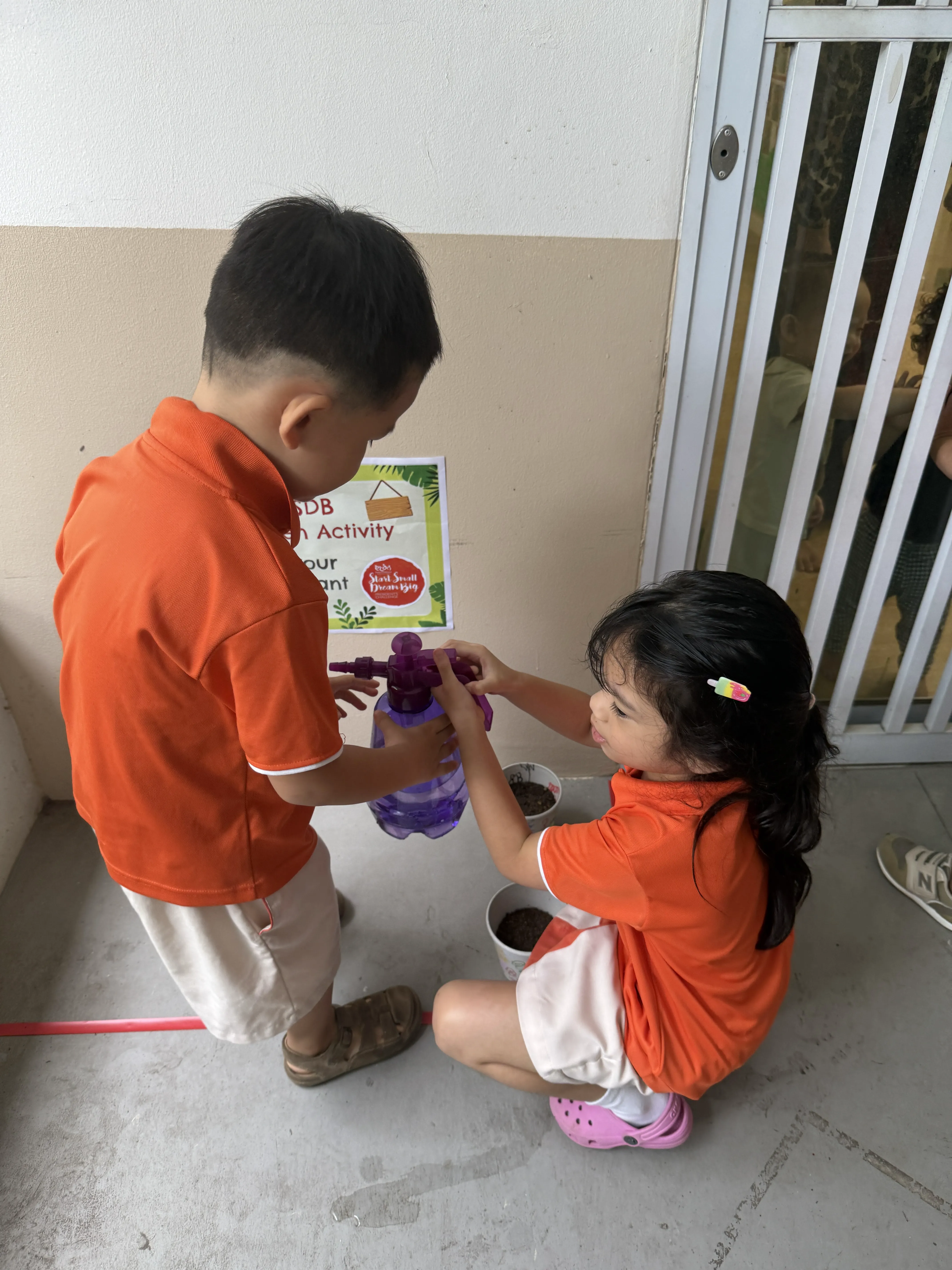 Planting your own Plant — photo 5