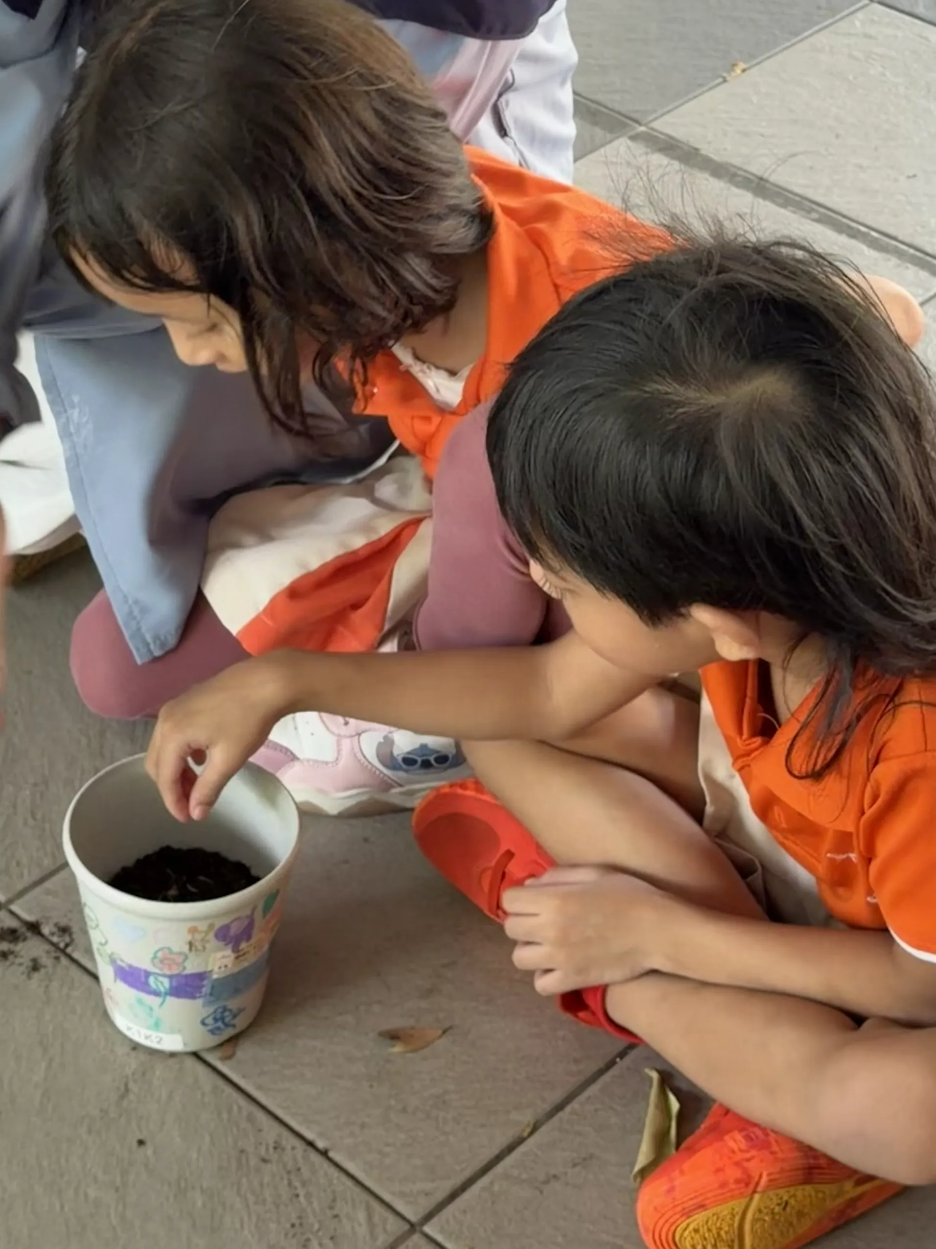 Planting your own Plant — photo 7