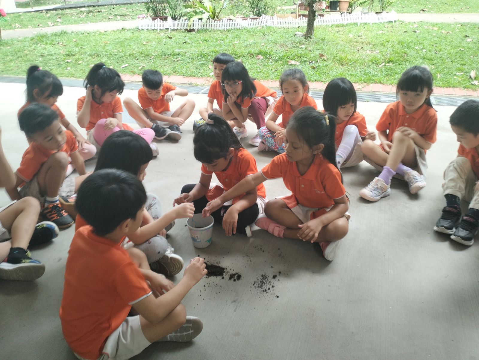 Planting your own Plant — photo 11