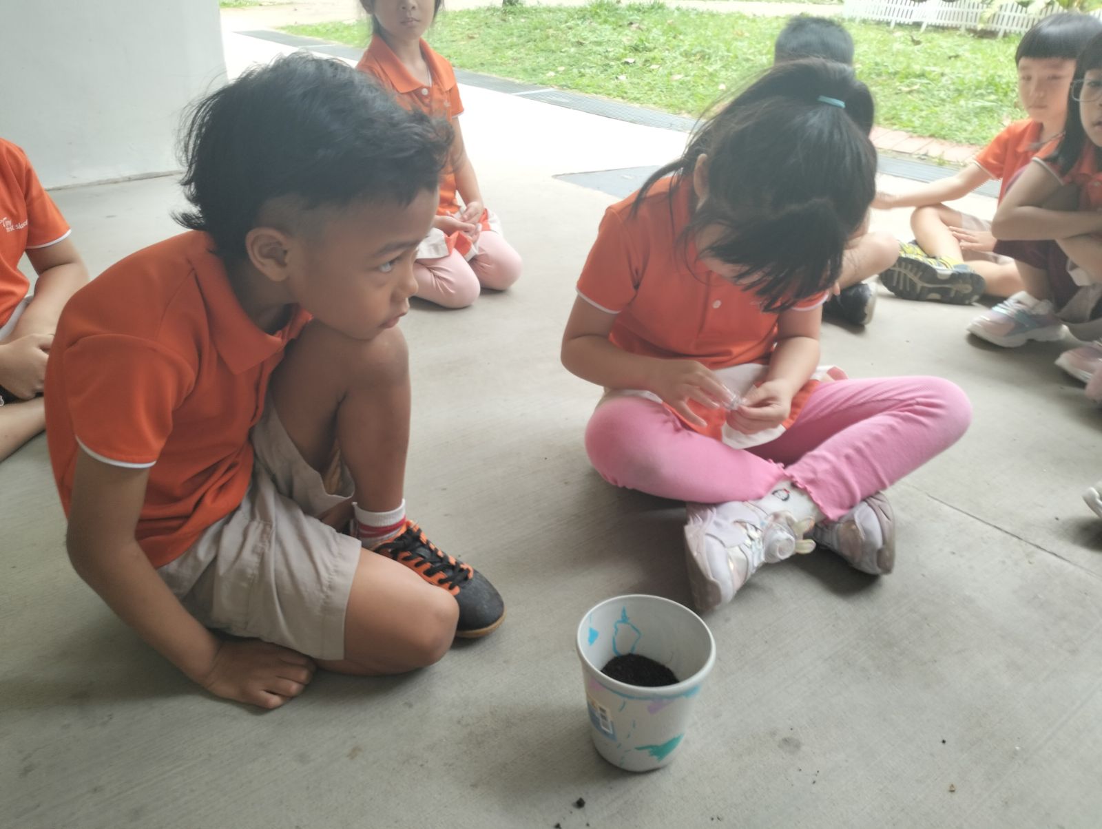 Planting your own Plant — photo 12