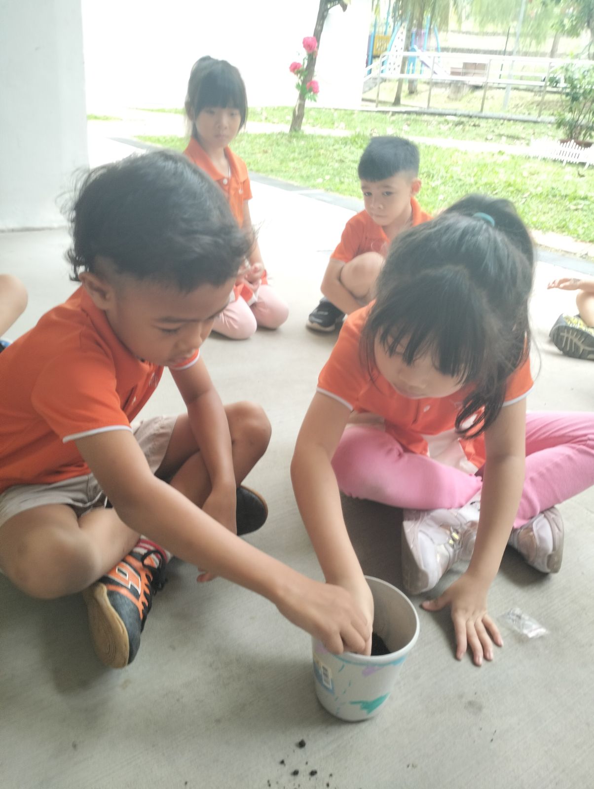Planting your own Plant — photo 13