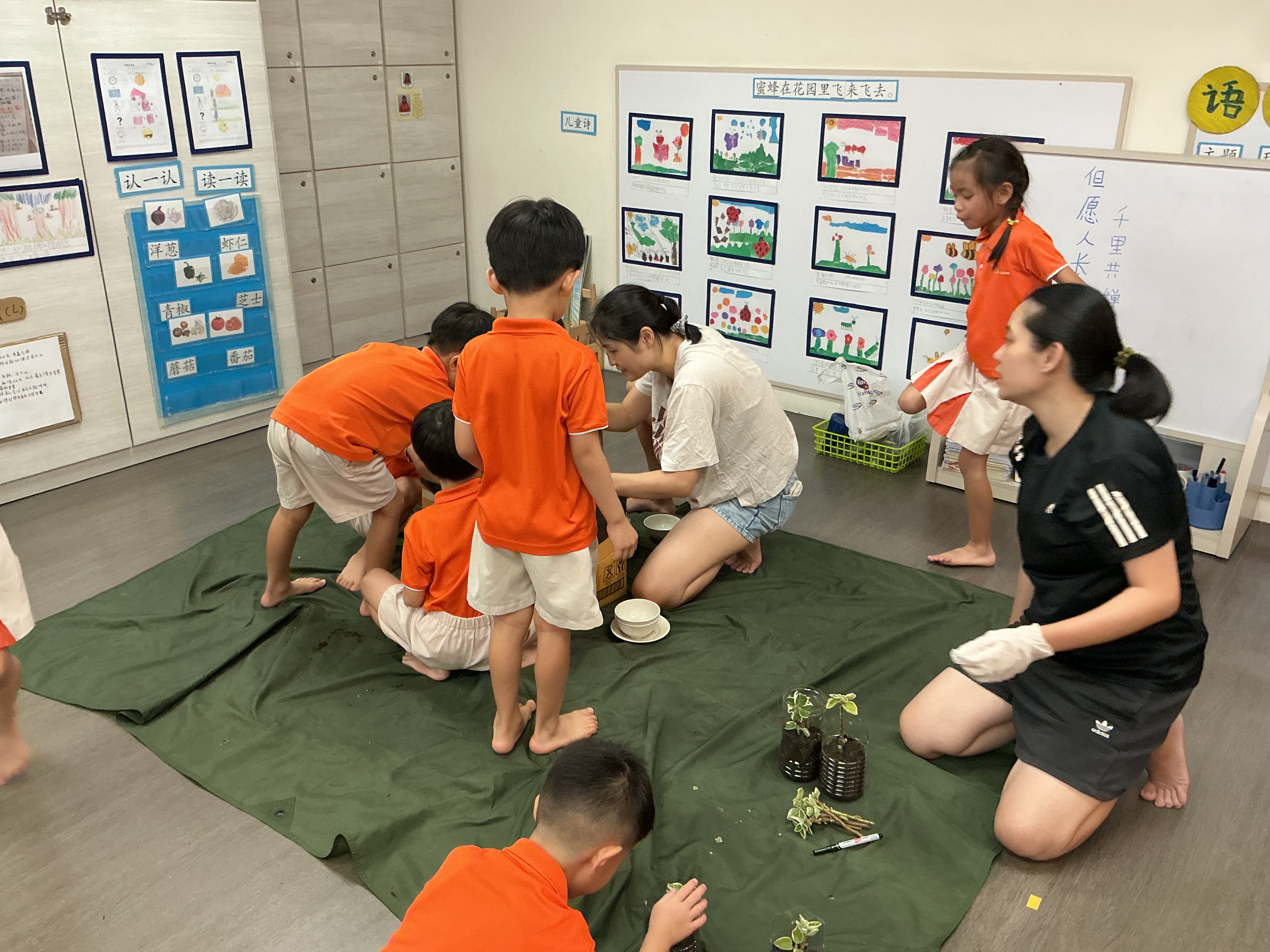 Potting and Planting Session — photo 3