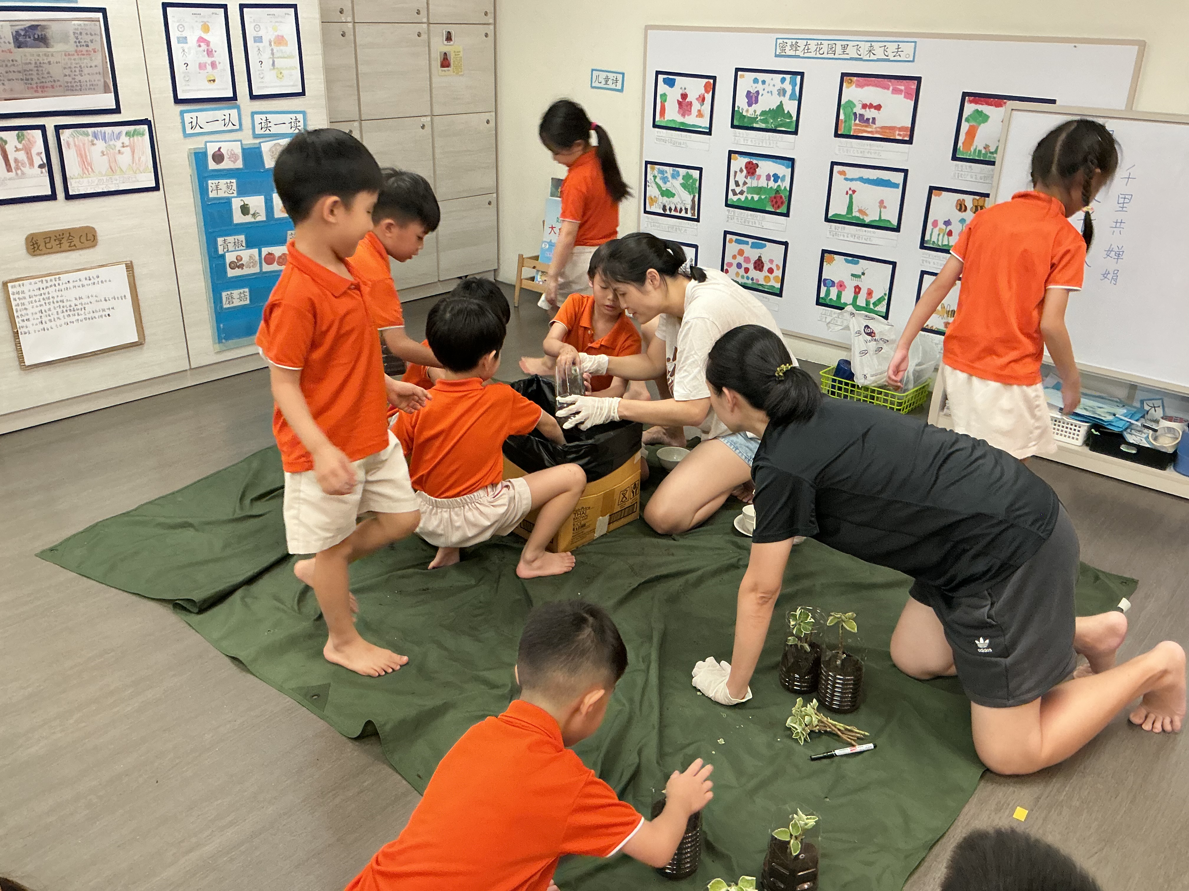 Potting and Planting Session — photo 4