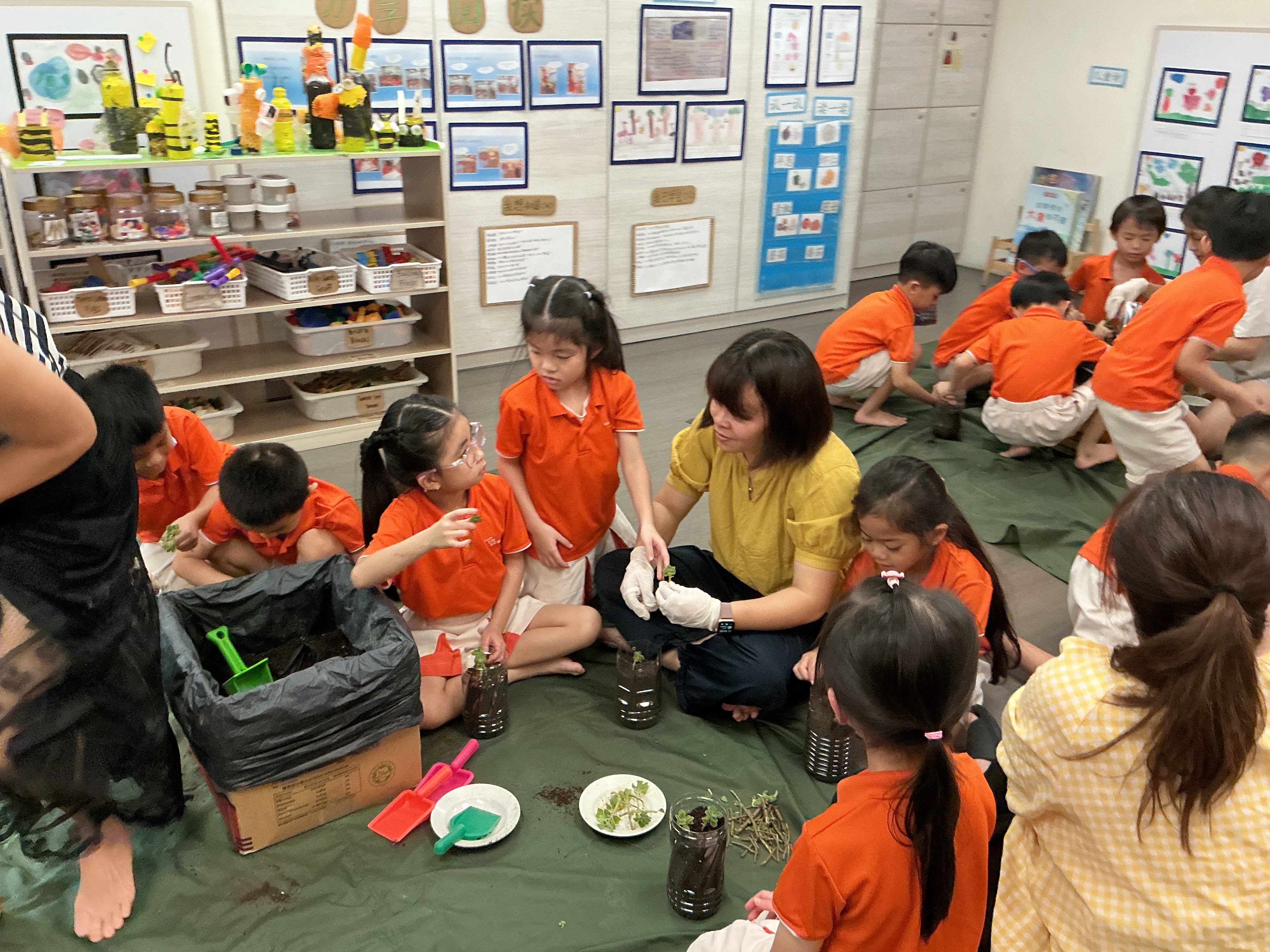 Potting and Planting Session — photo 5