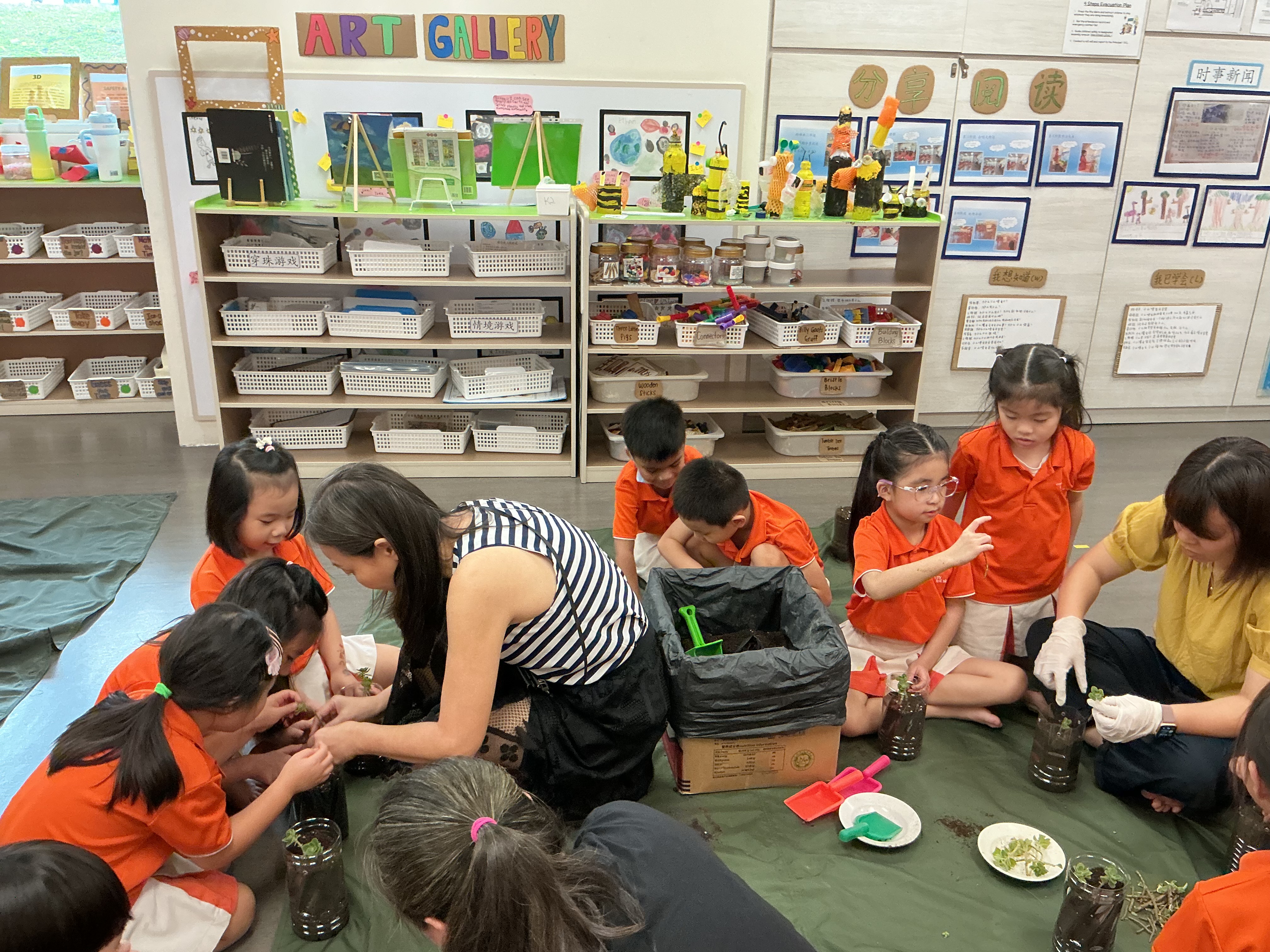 Potting and Planting Session — photo 7