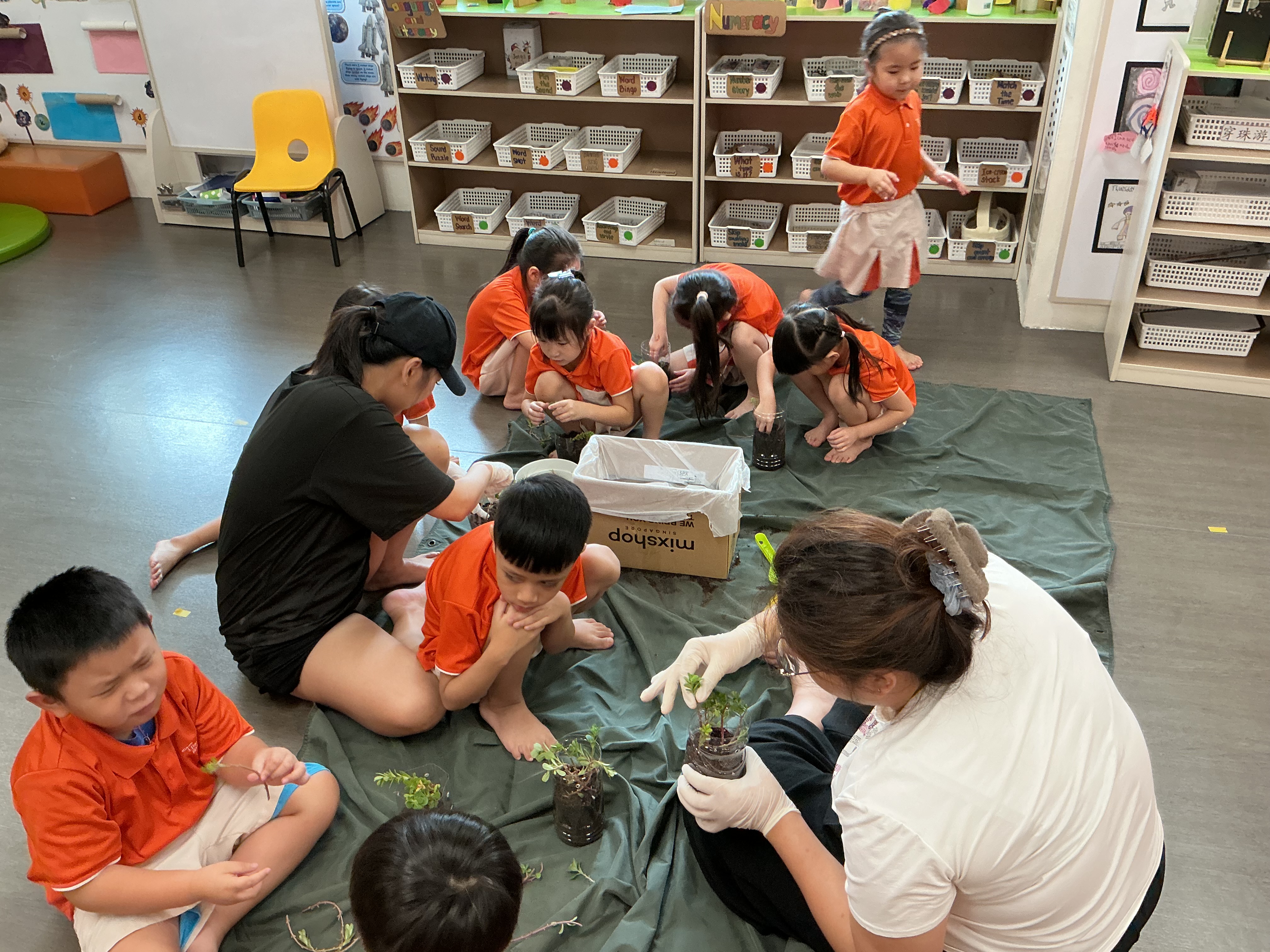 Potting and Planting Session — photo 8