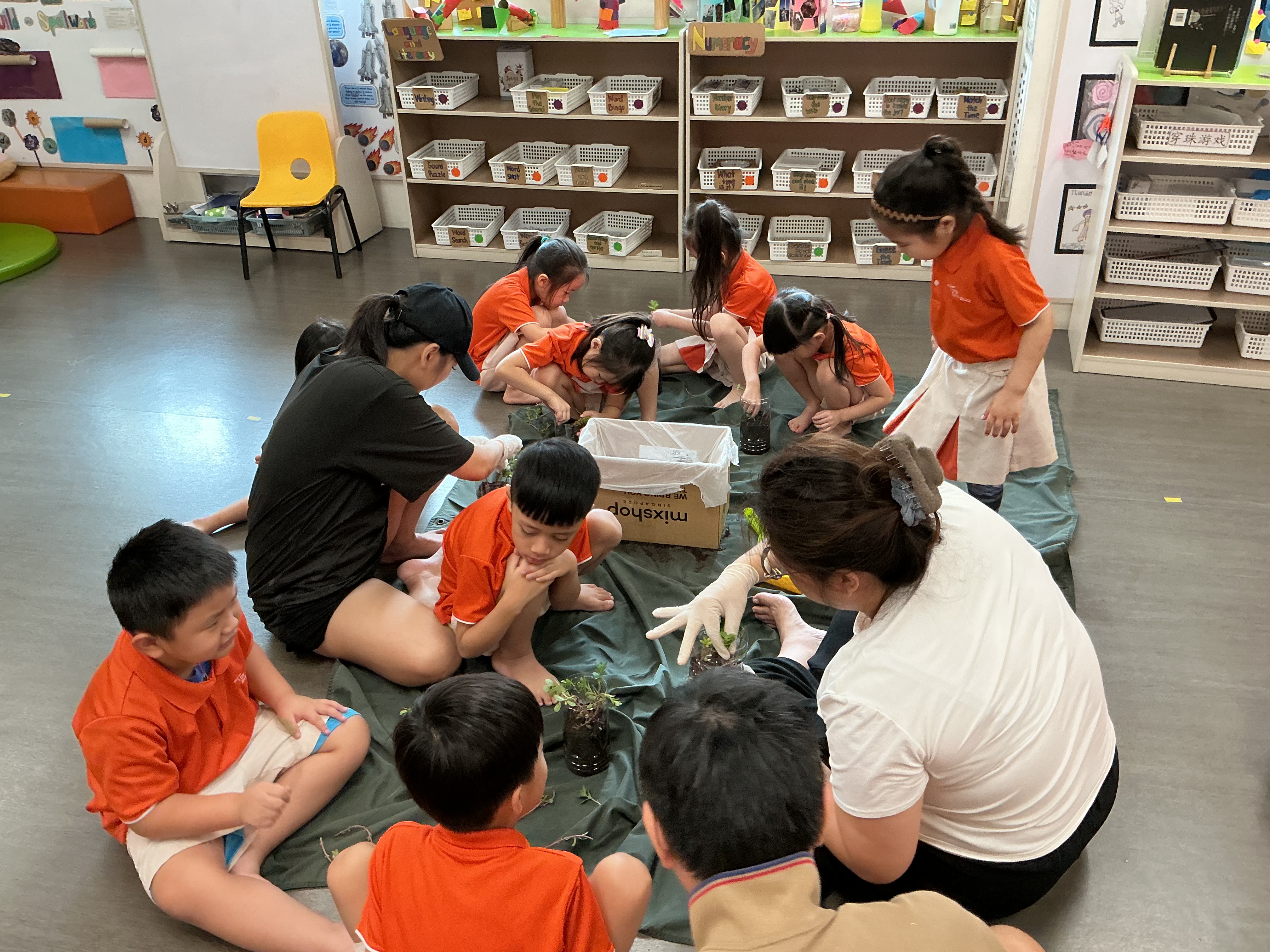 Potting and Planting Session — photo 9