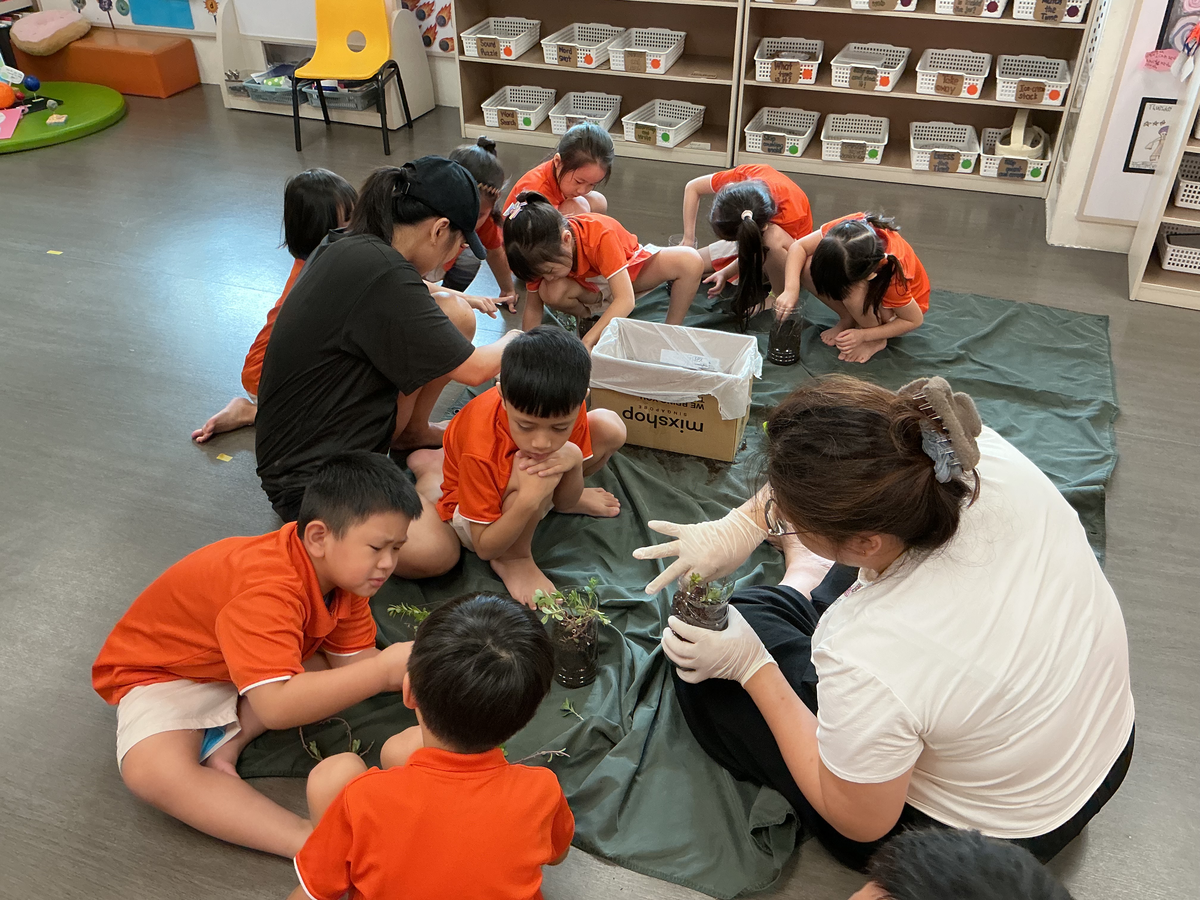 Potting and Planting Session — photo 10