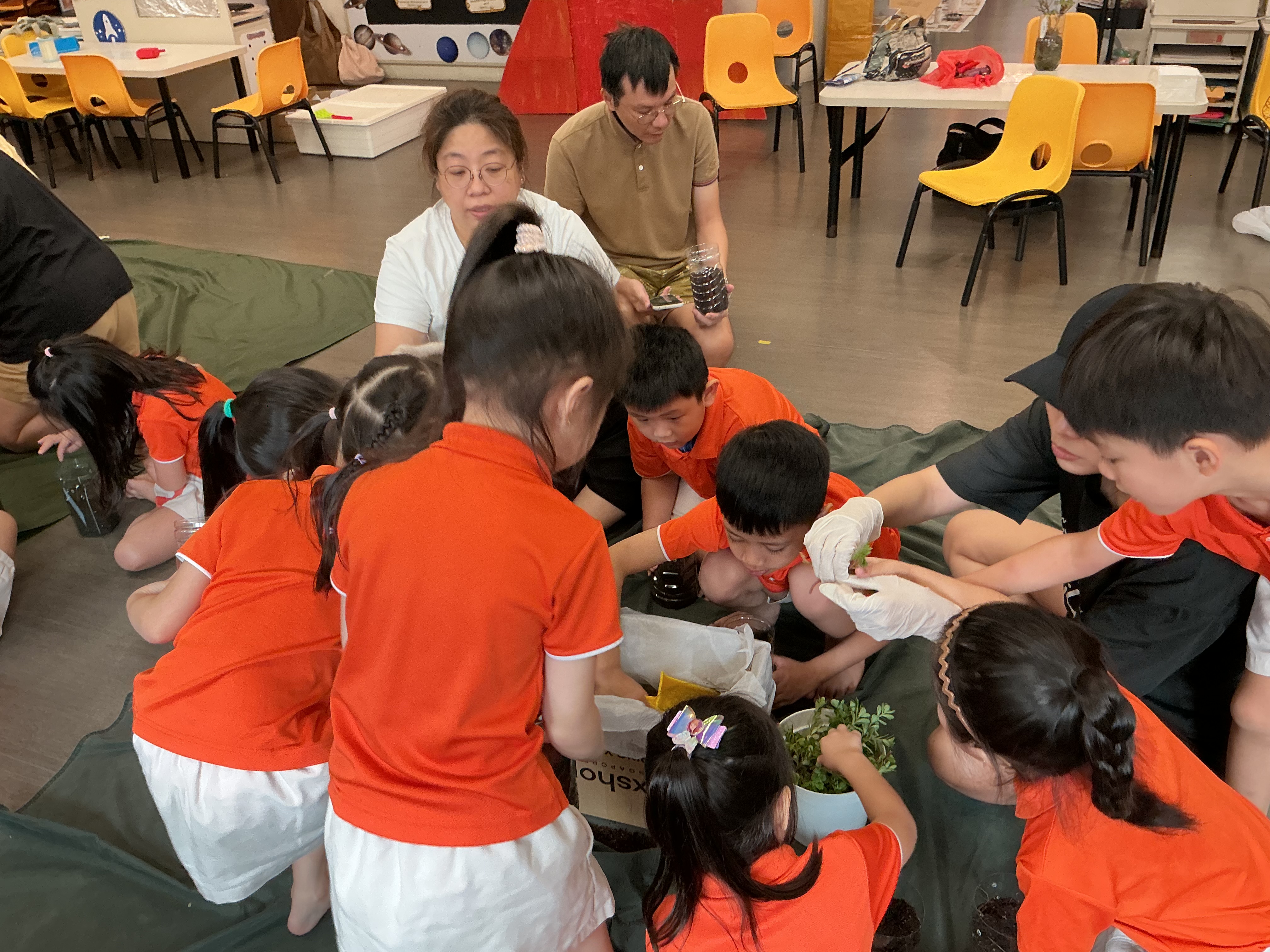 Potting and Planting Session — photo 11