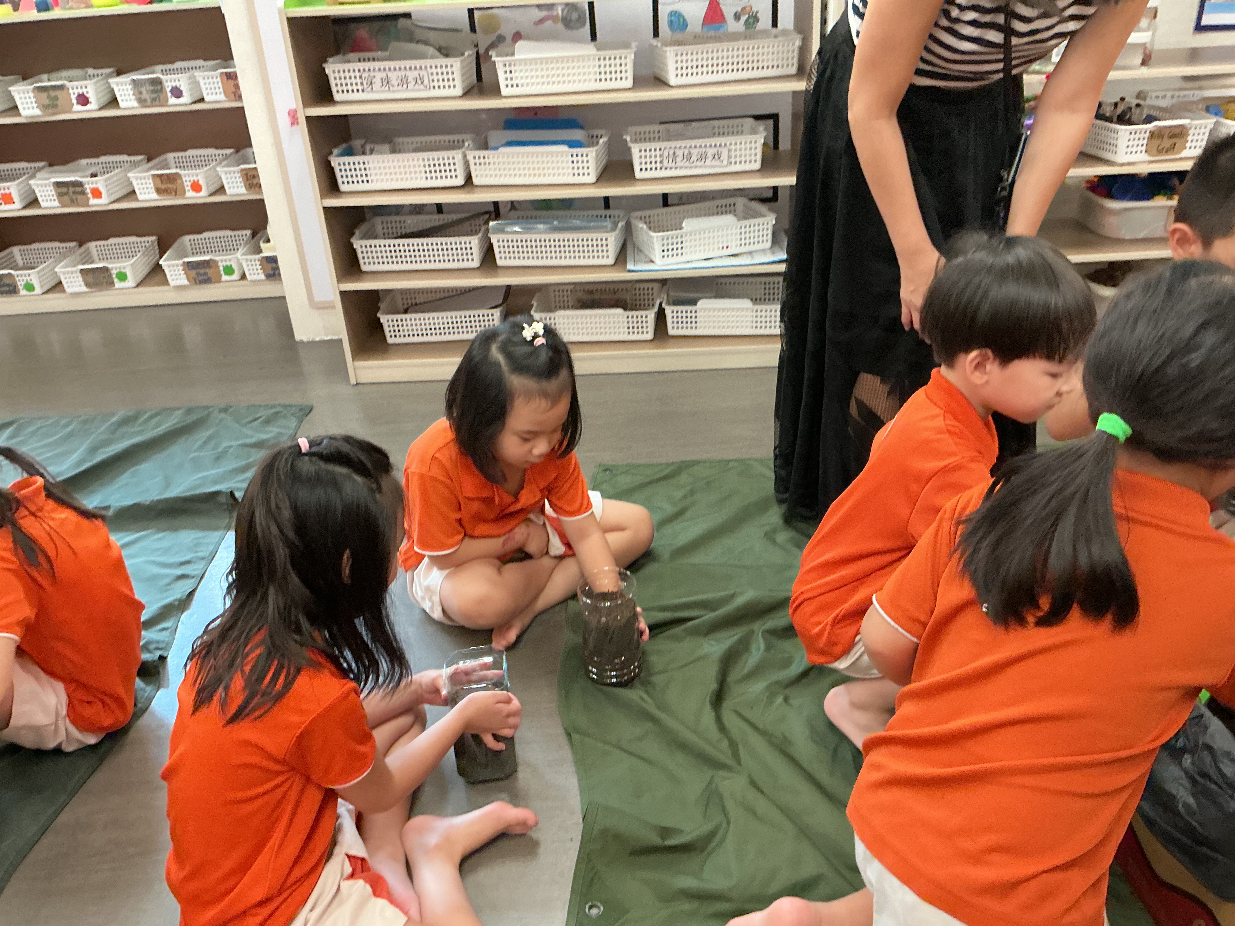 Potting and Planting Session — photo 18
