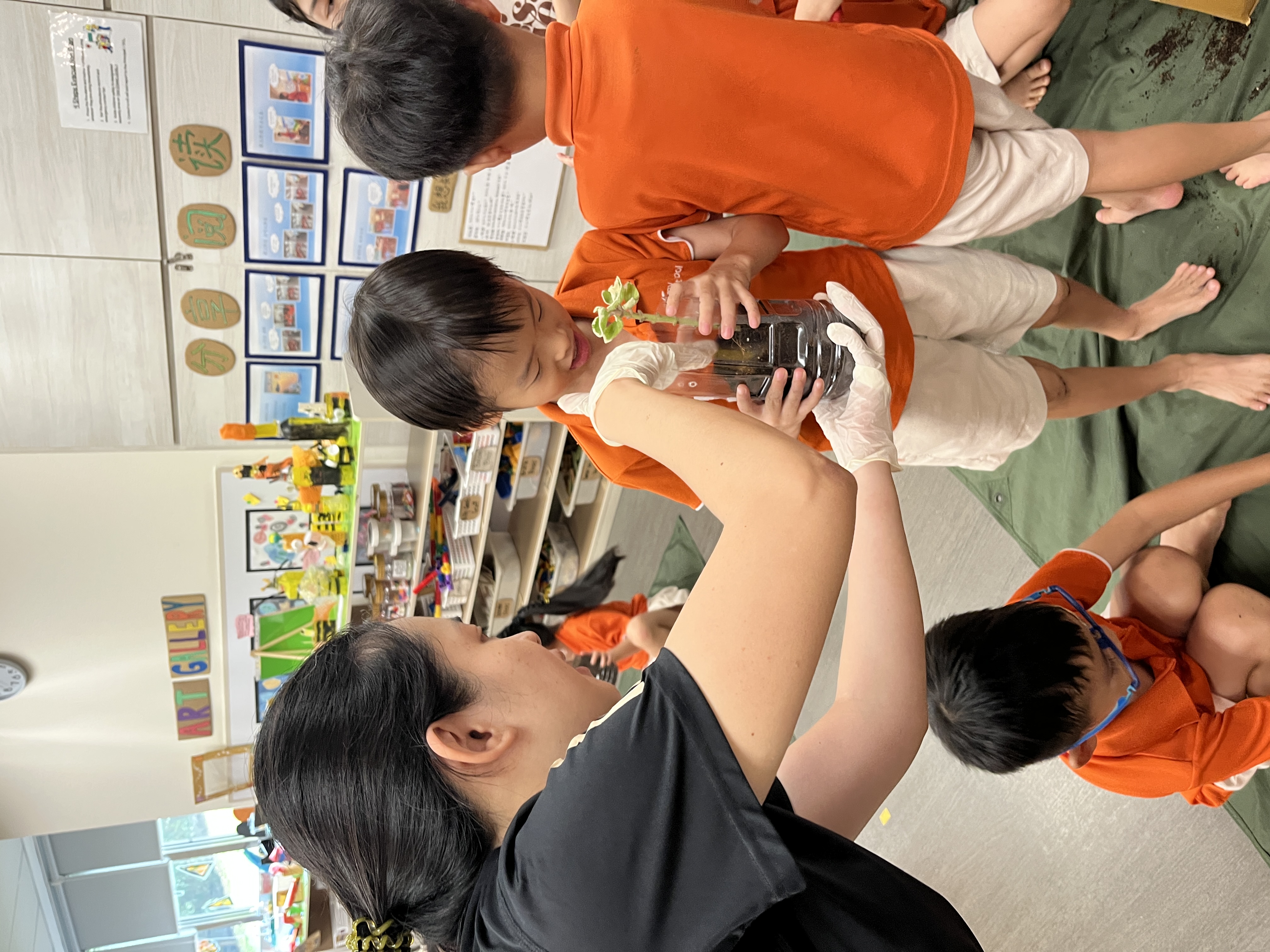 Potting and Planting Session — photo 24
