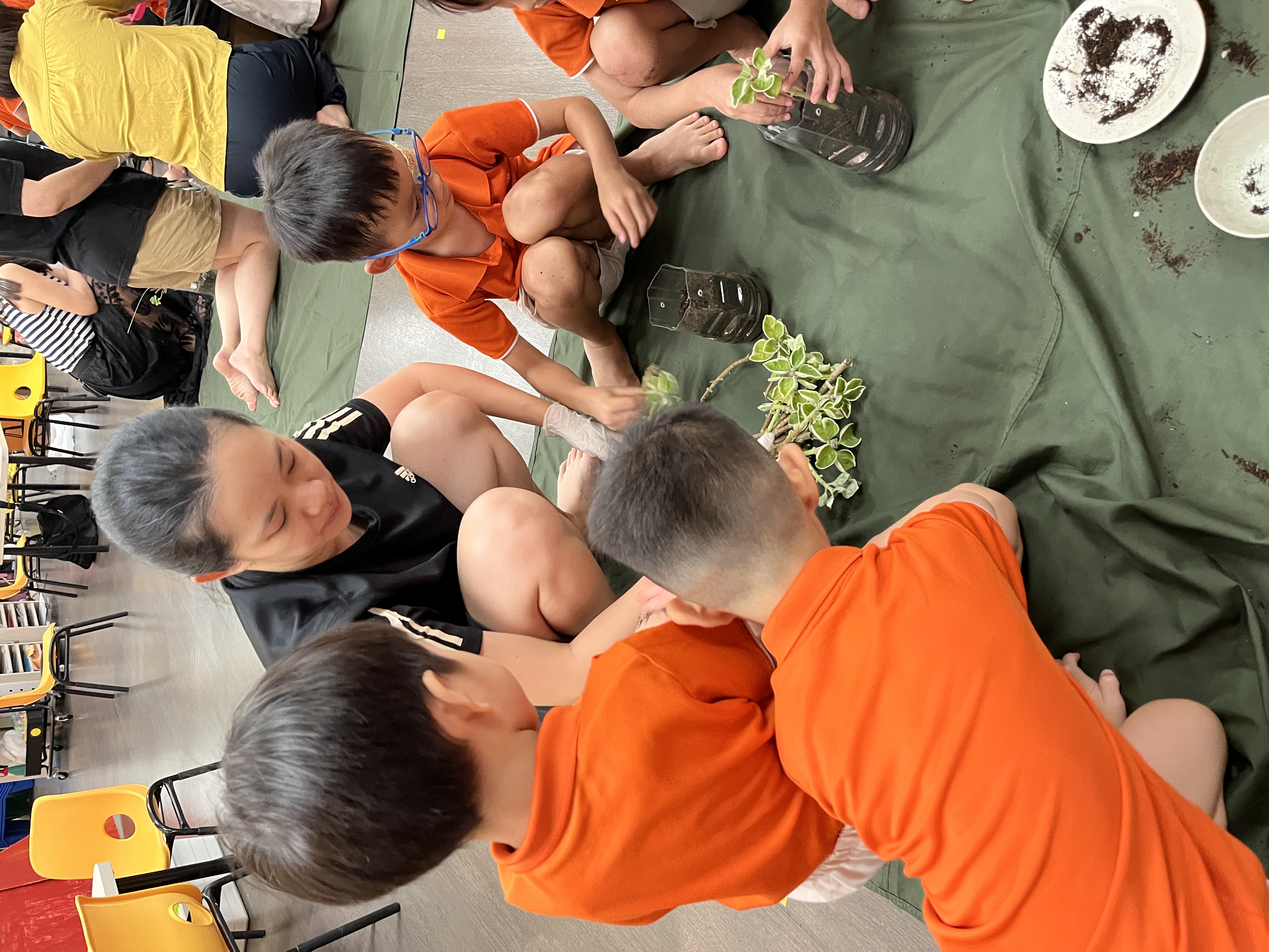 Potting and Planting Session — photo 25