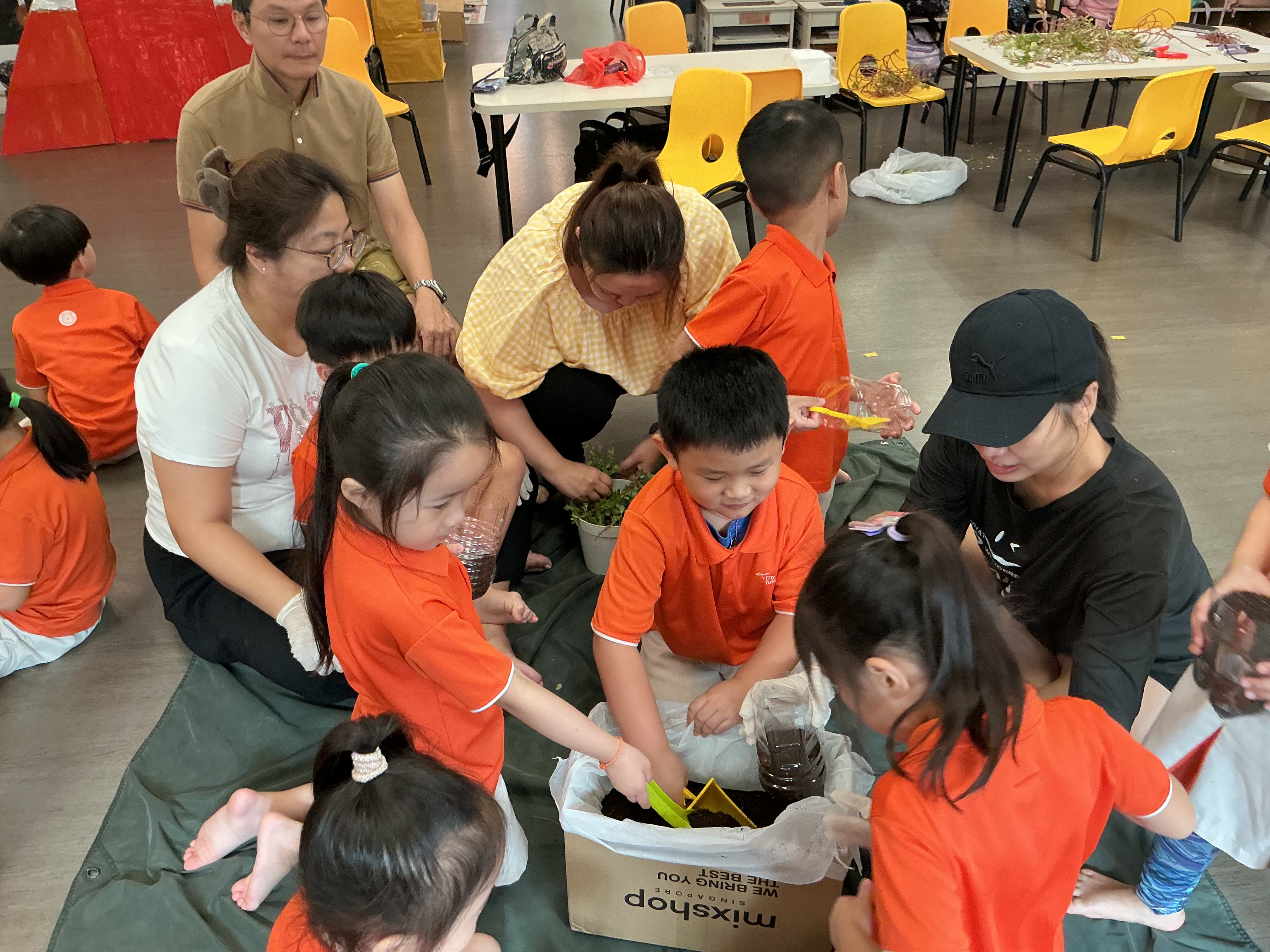 Potting and Planting Session — photo 27