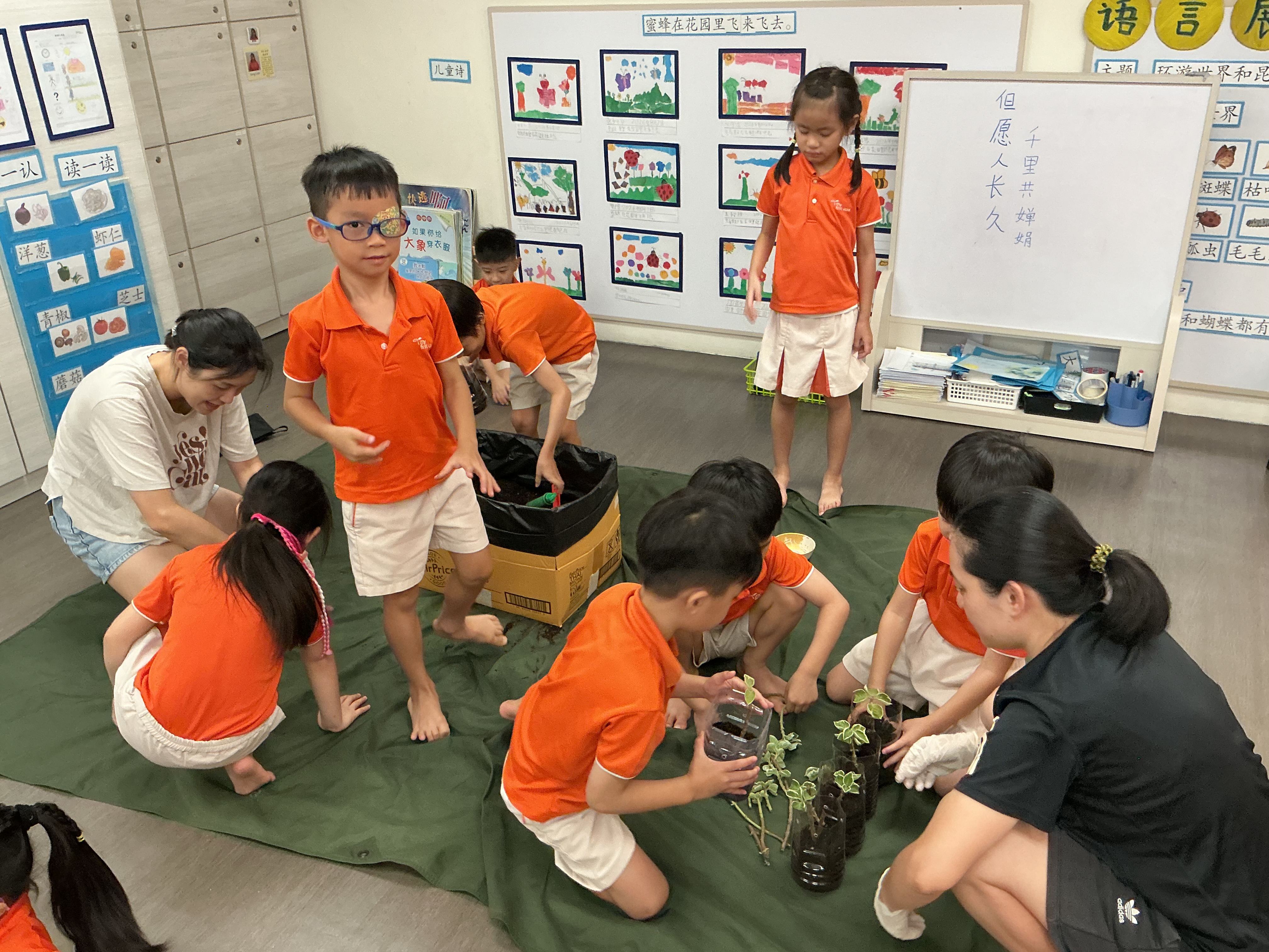 Potting and Planting Session — photo 30