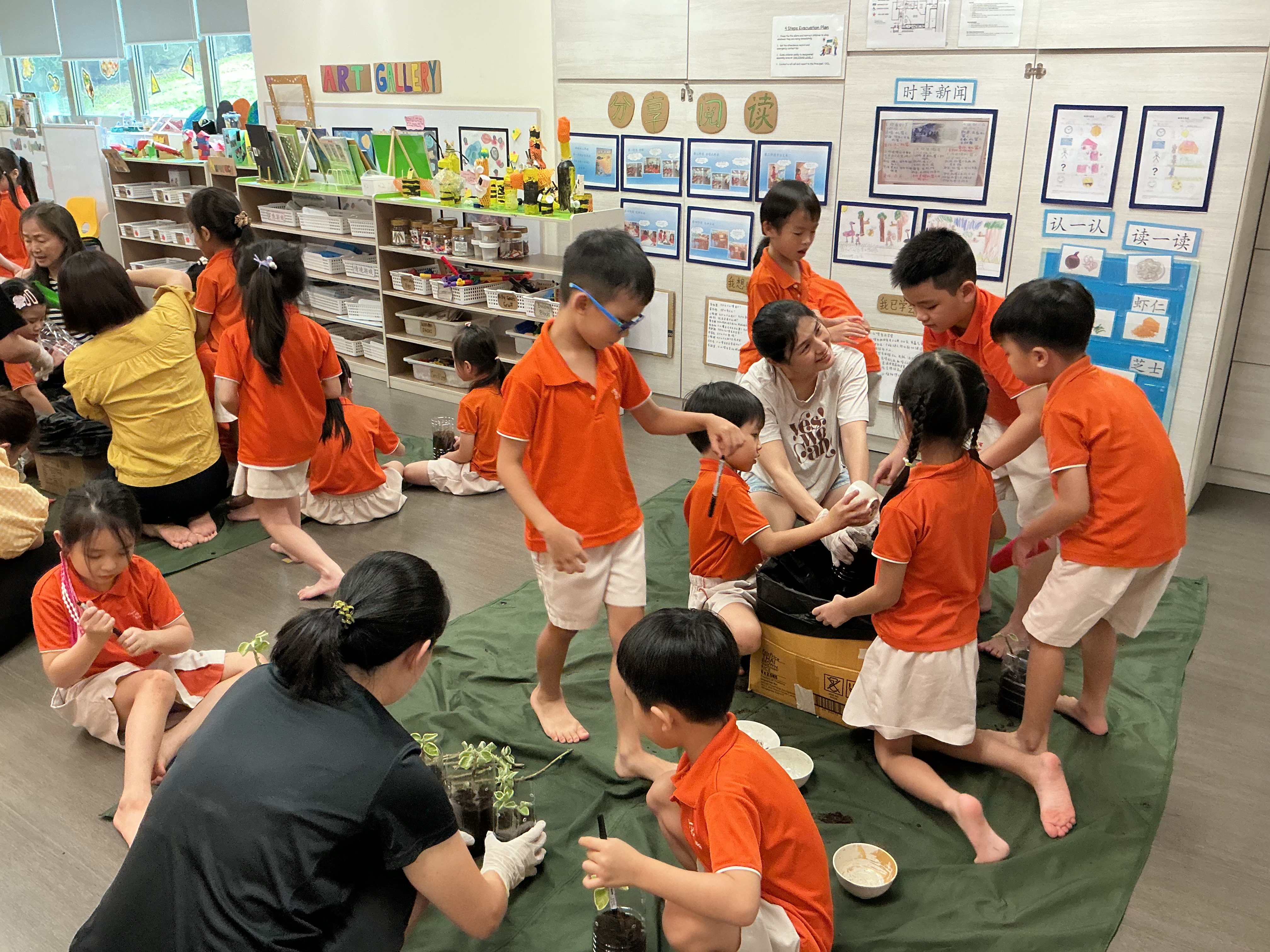 Potting and Planting Session — photo 31