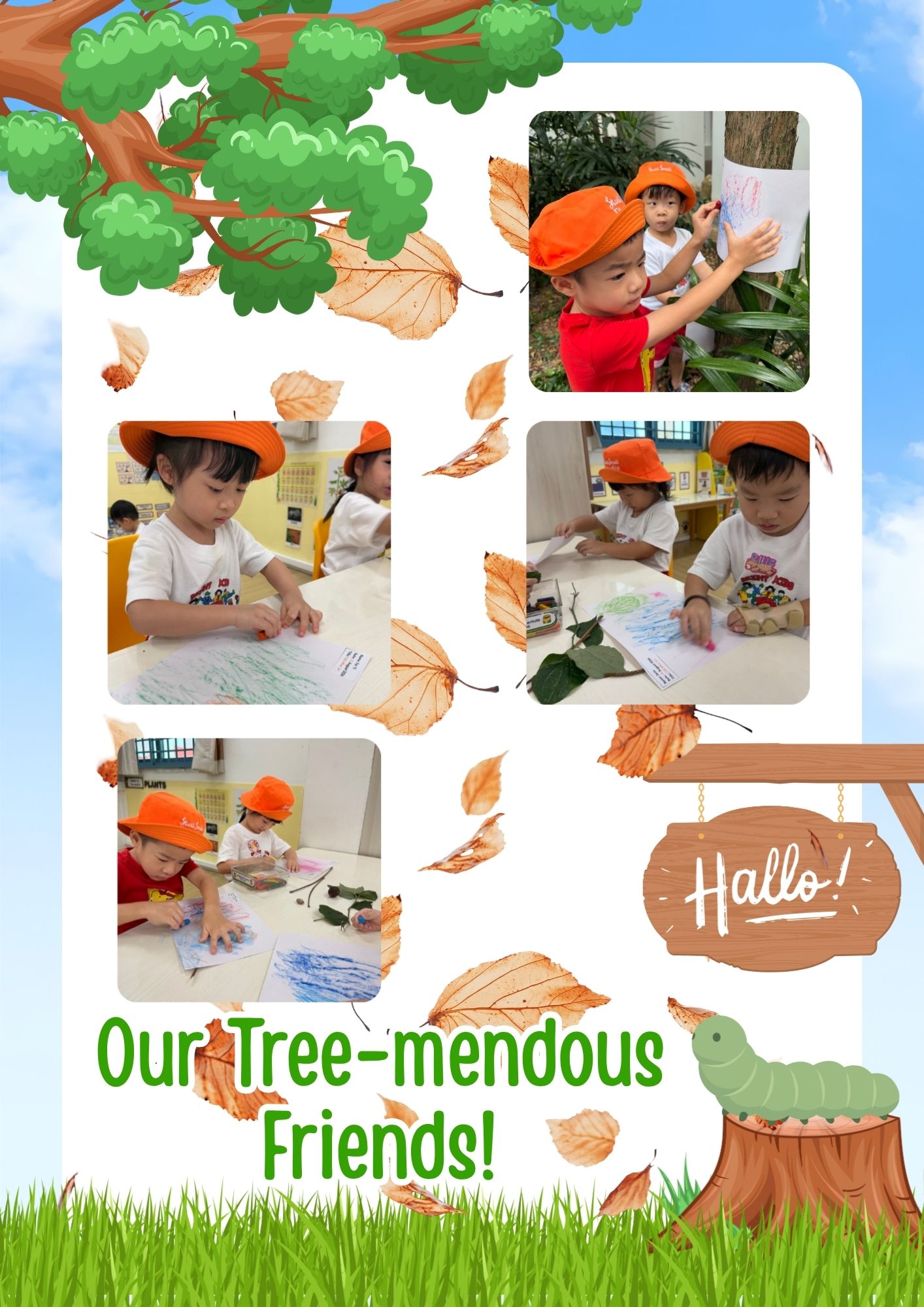 Caring for Nature - Water & Tree Conservation — photo 2