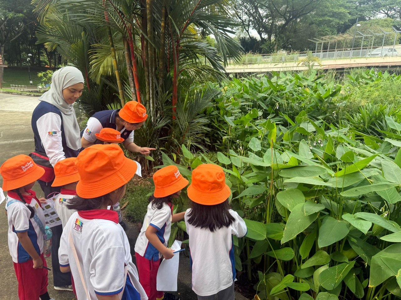 Field Trip @ Admiralty Park — photo 6