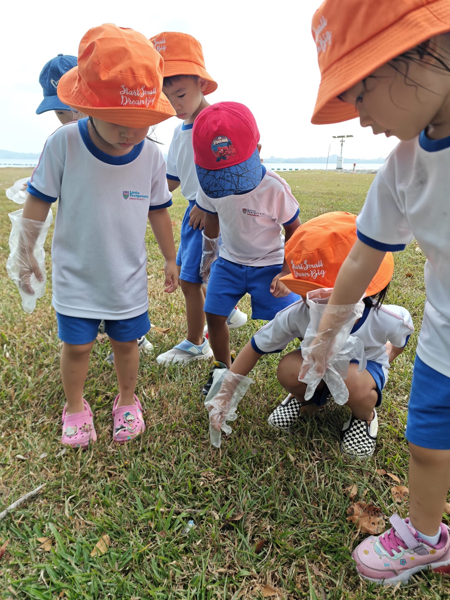 Beach Cleanup — photo 3