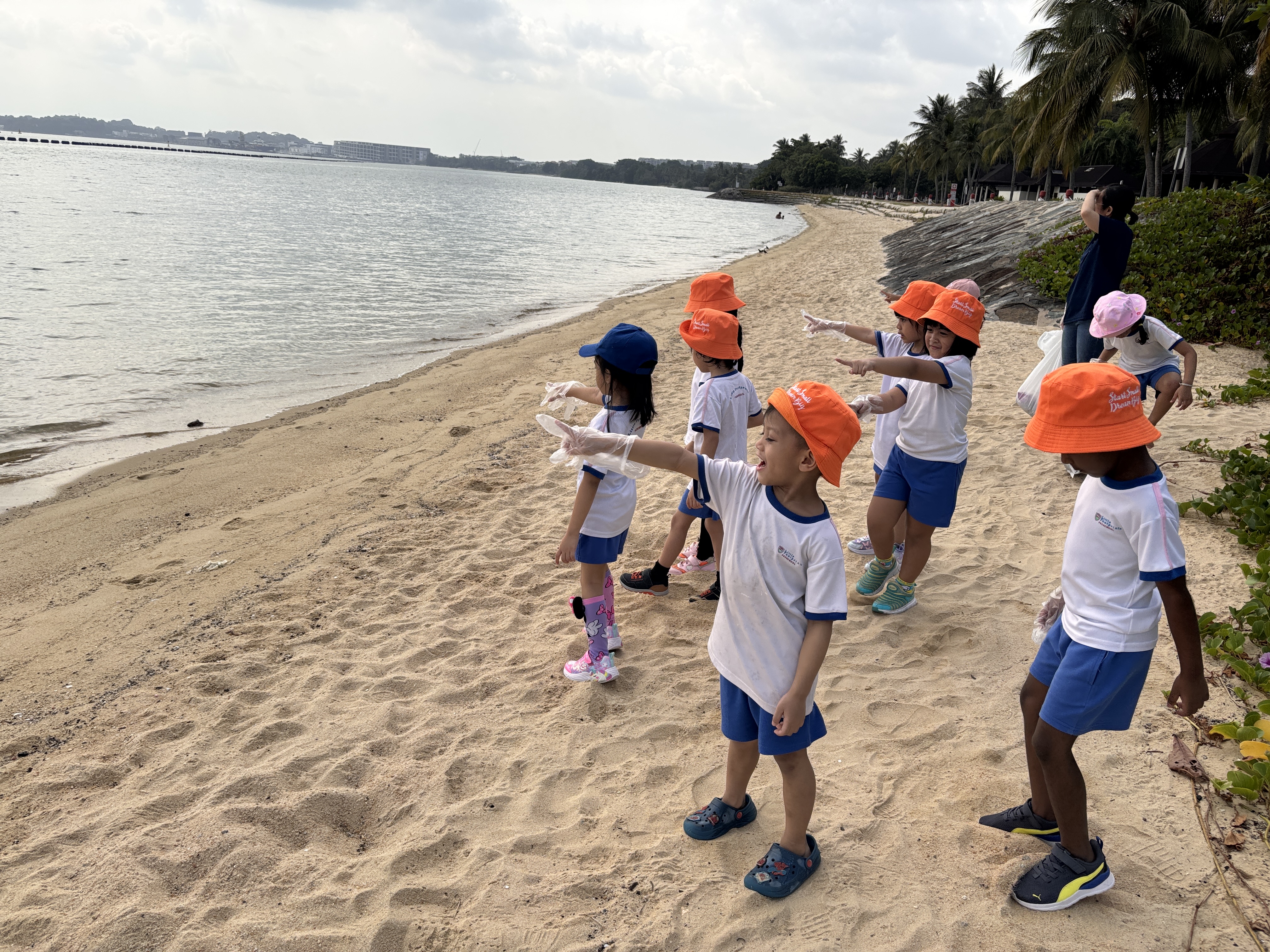 Beach Cleanup — photo 5