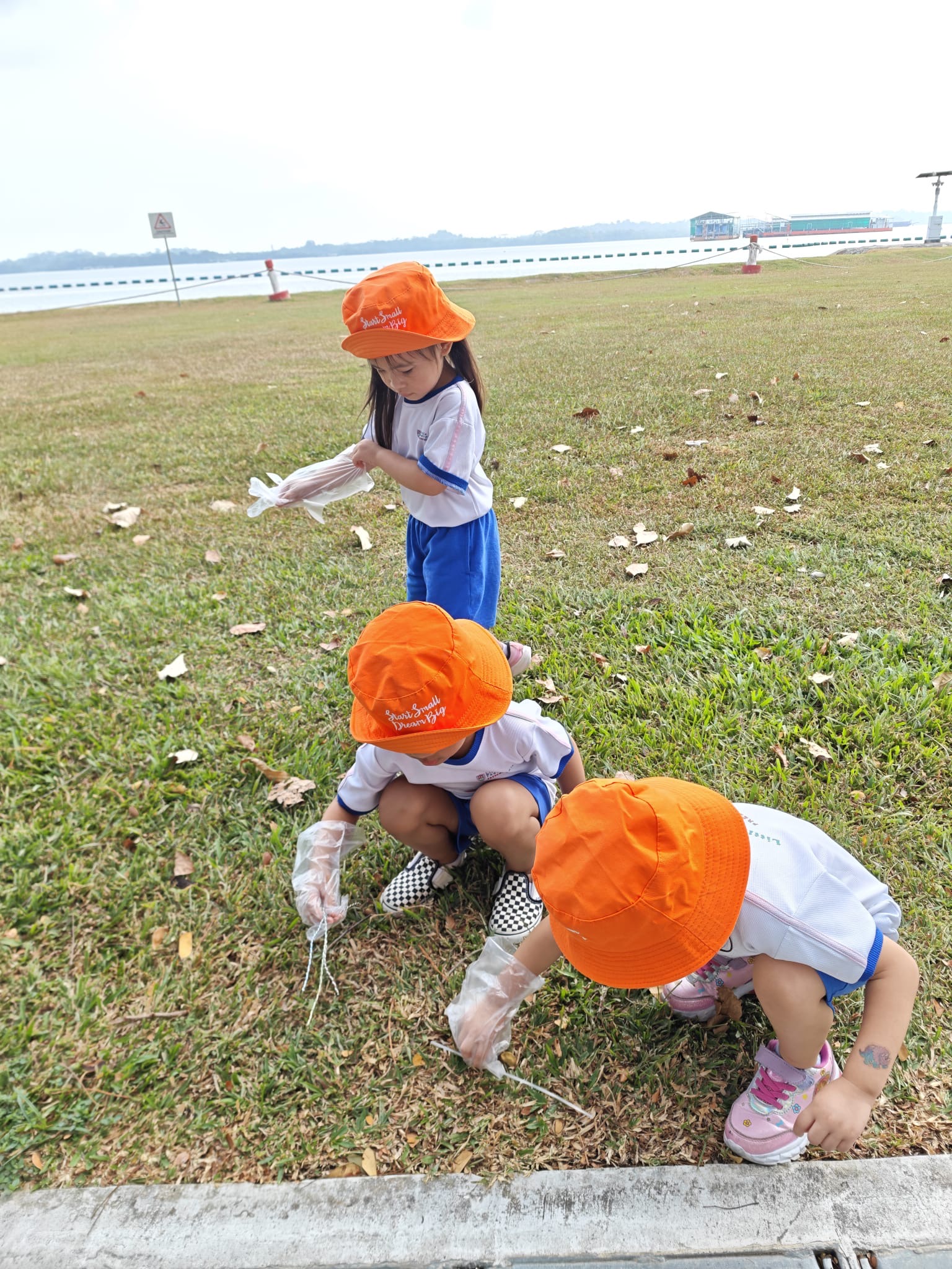 Beach Cleanup — photo 11