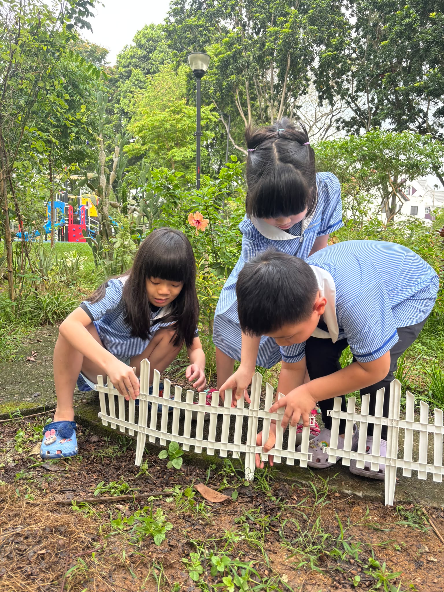 SSDB: Nuturing Young Hearts, Growing a Greener Tomorrow — photo 4