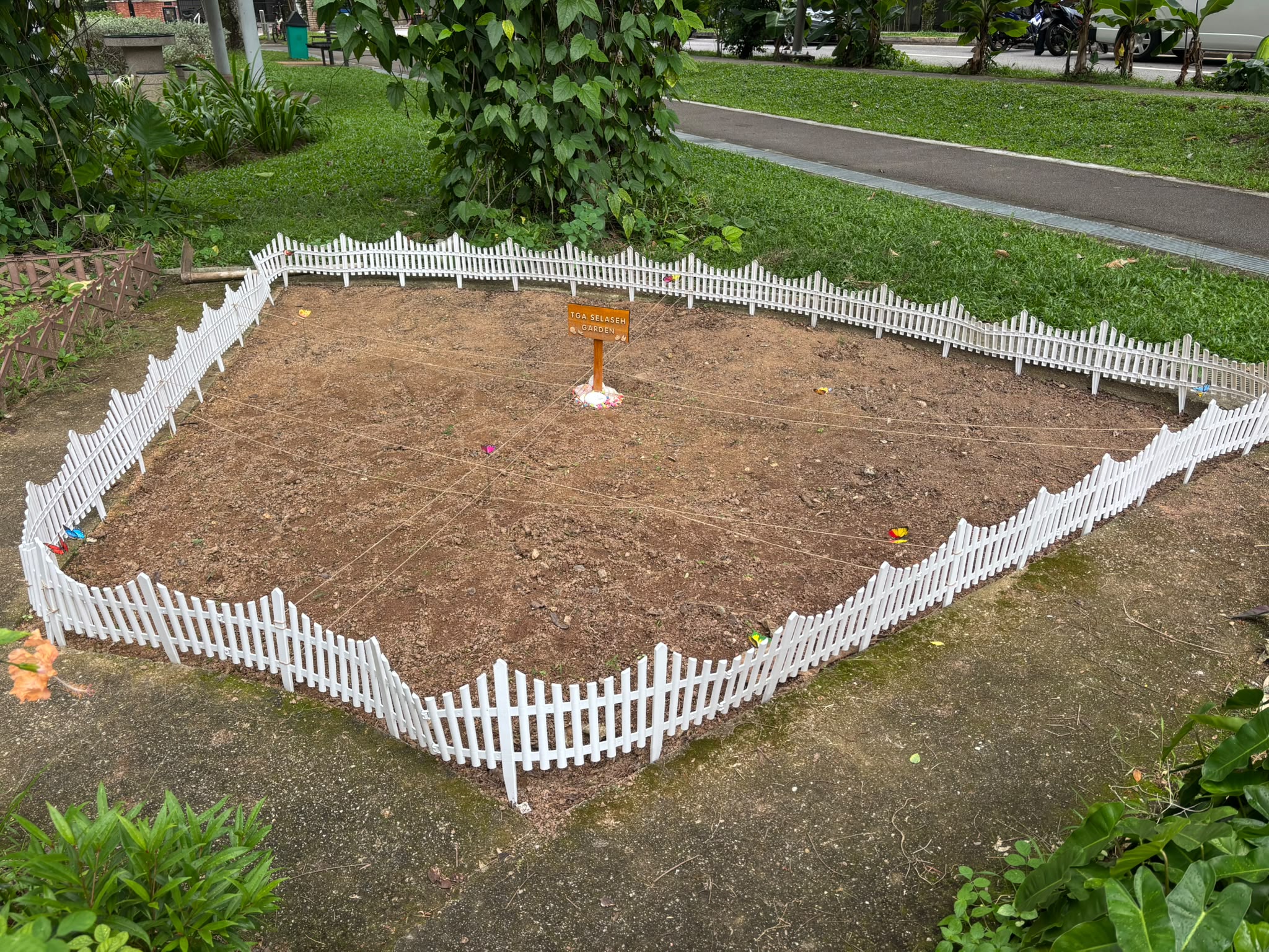 SSDB: Nuturing Young Hearts, Growing a Greener Tomorrow — photo 5