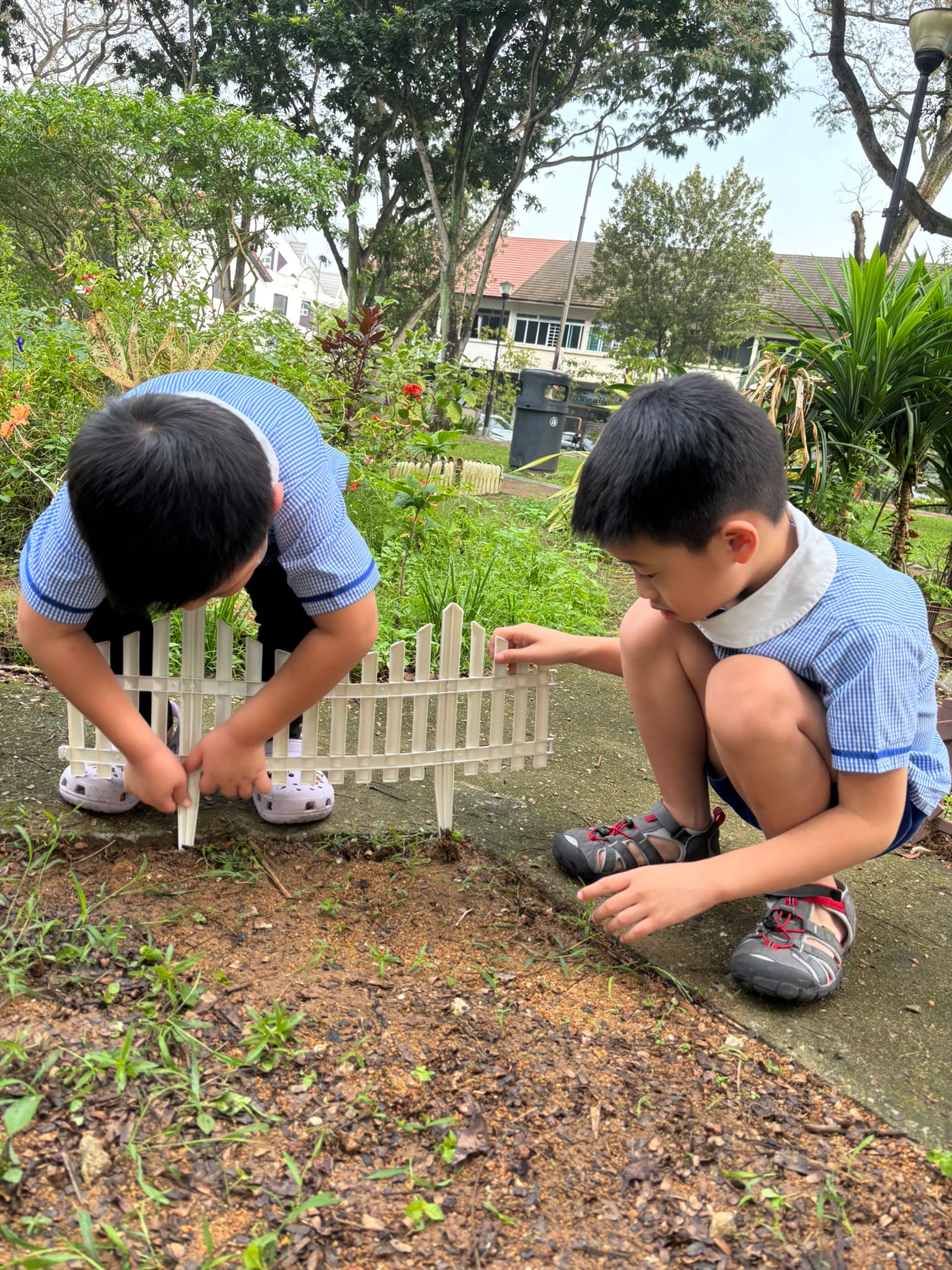SSDB: Nuturing Young Hearts, Growing a Greener Tomorrow — photo 6