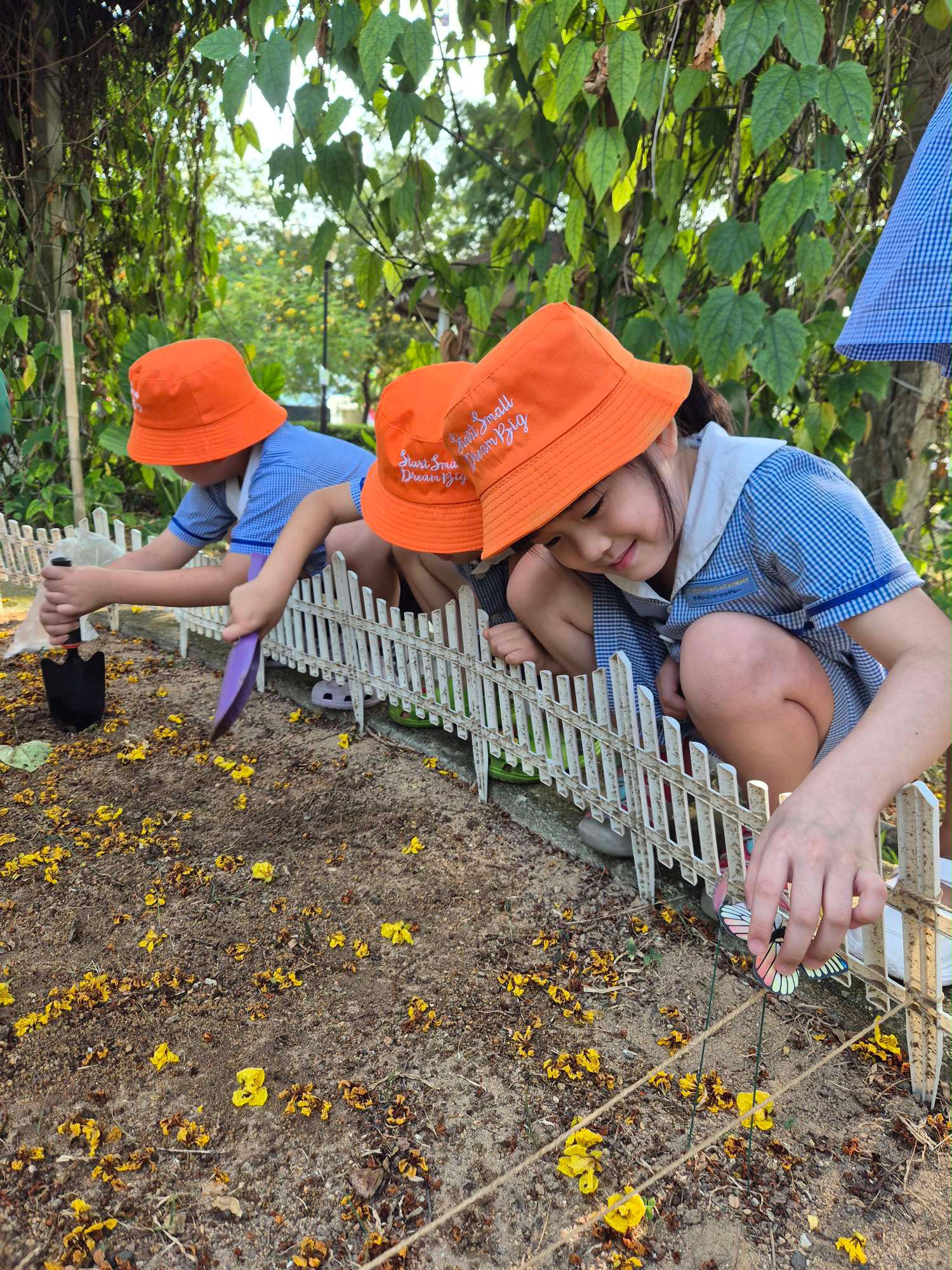 SSDB: Nuturing Young Hearts, Growing a Greener Tomorrow — photo 7