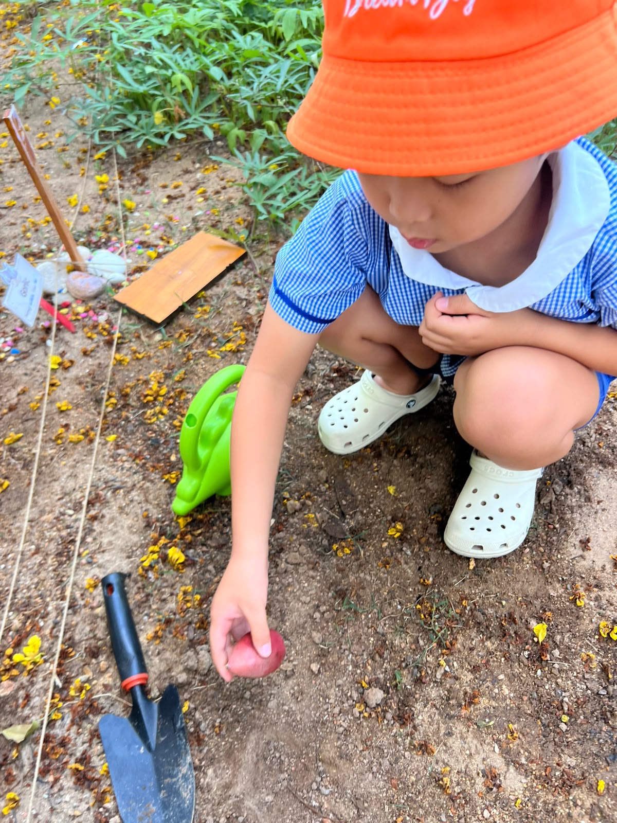 SSDB: Nuturing Young Hearts, Growing a Greener Tomorrow — photo 8