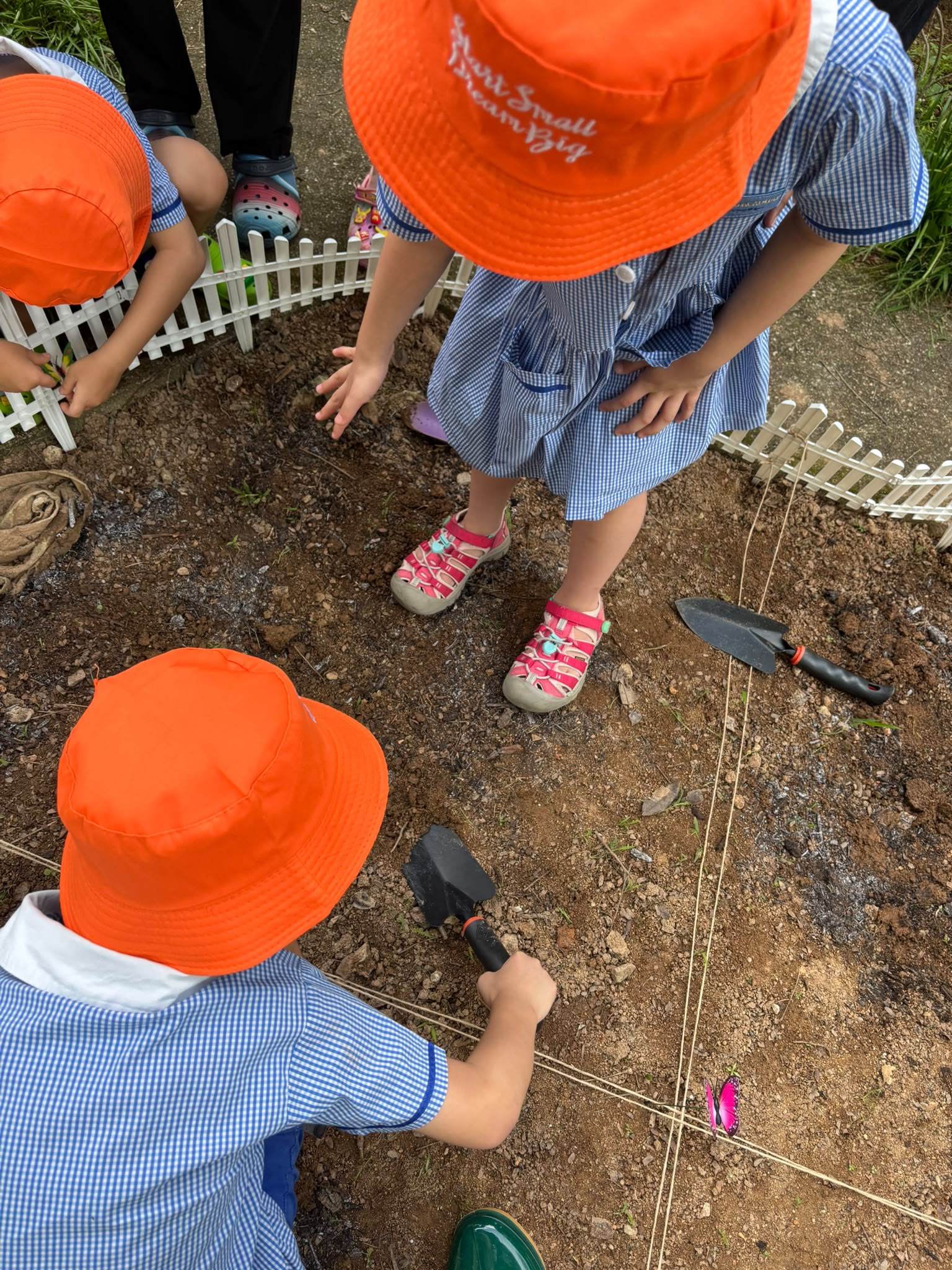 SSDB: Nuturing Young Hearts, Growing a Greener Tomorrow — photo 9