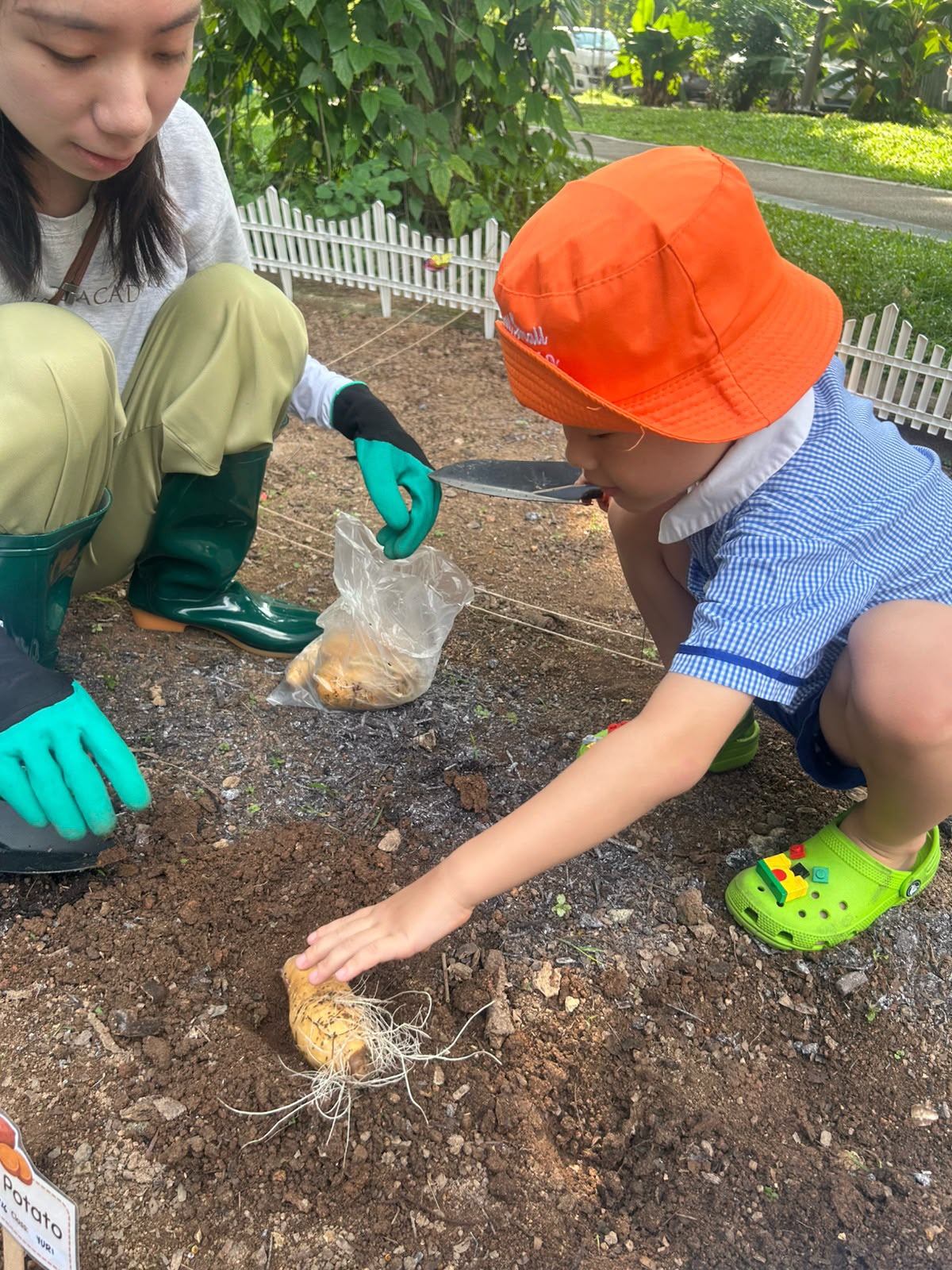 SSDB: Nuturing Young Hearts, Growing a Greener Tomorrow — photo 11