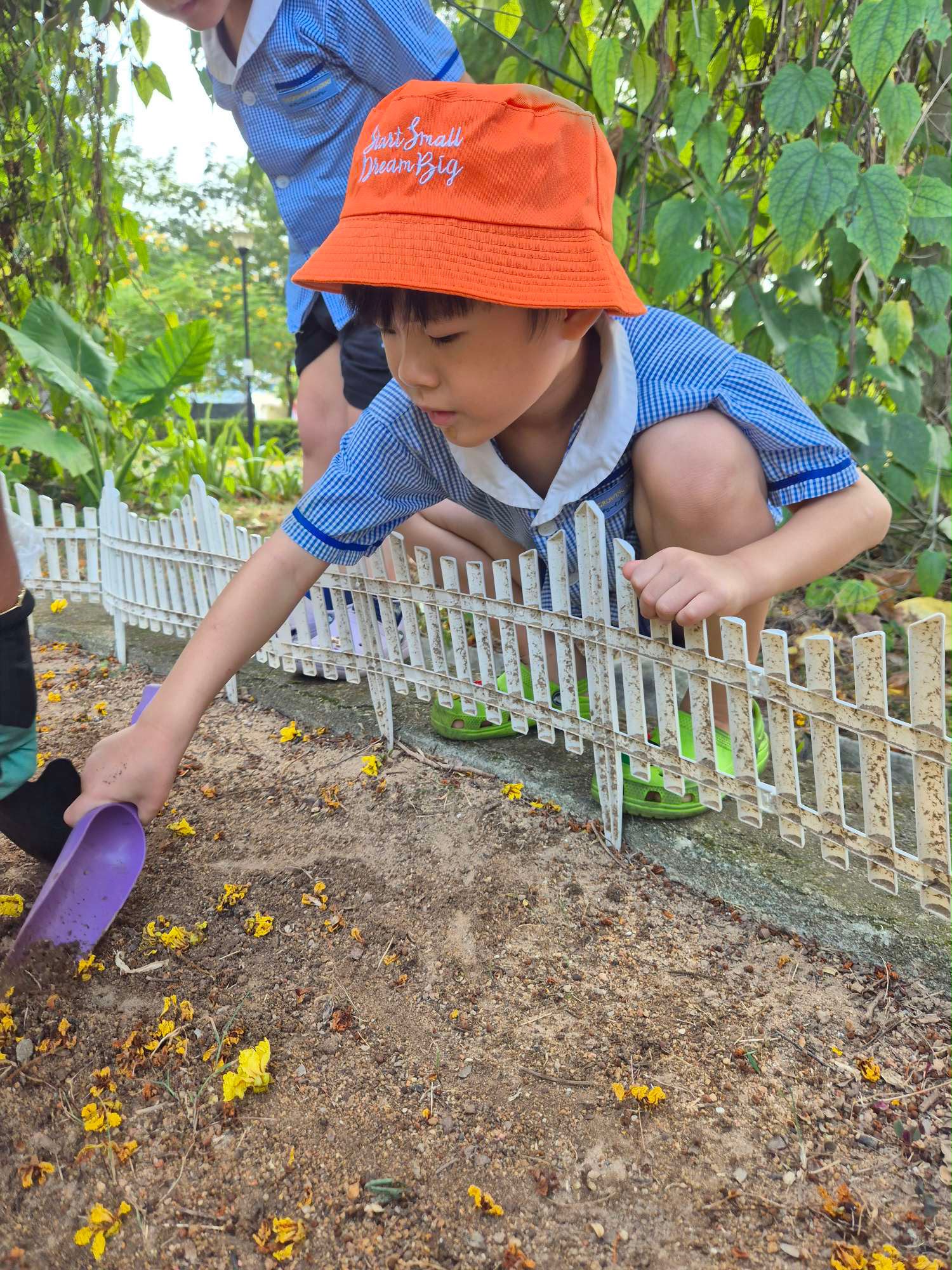 SSDB: Nuturing Young Hearts, Growing a Greener Tomorrow — photo 12