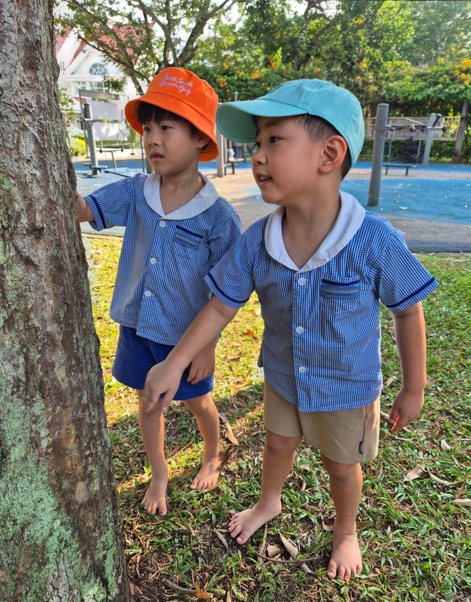 SSDB: Nuturing Young Hearts, Growing a Greener Tomorrow — photo 13