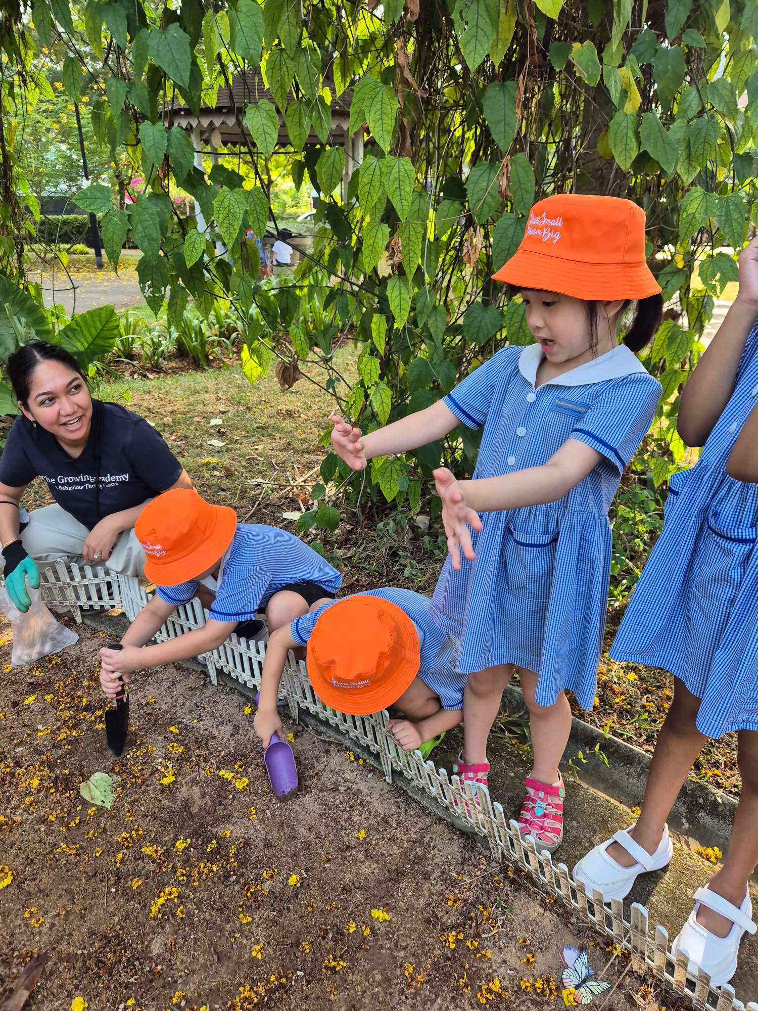 SSDB: Nuturing Young Hearts, Growing a Greener Tomorrow — photo 14