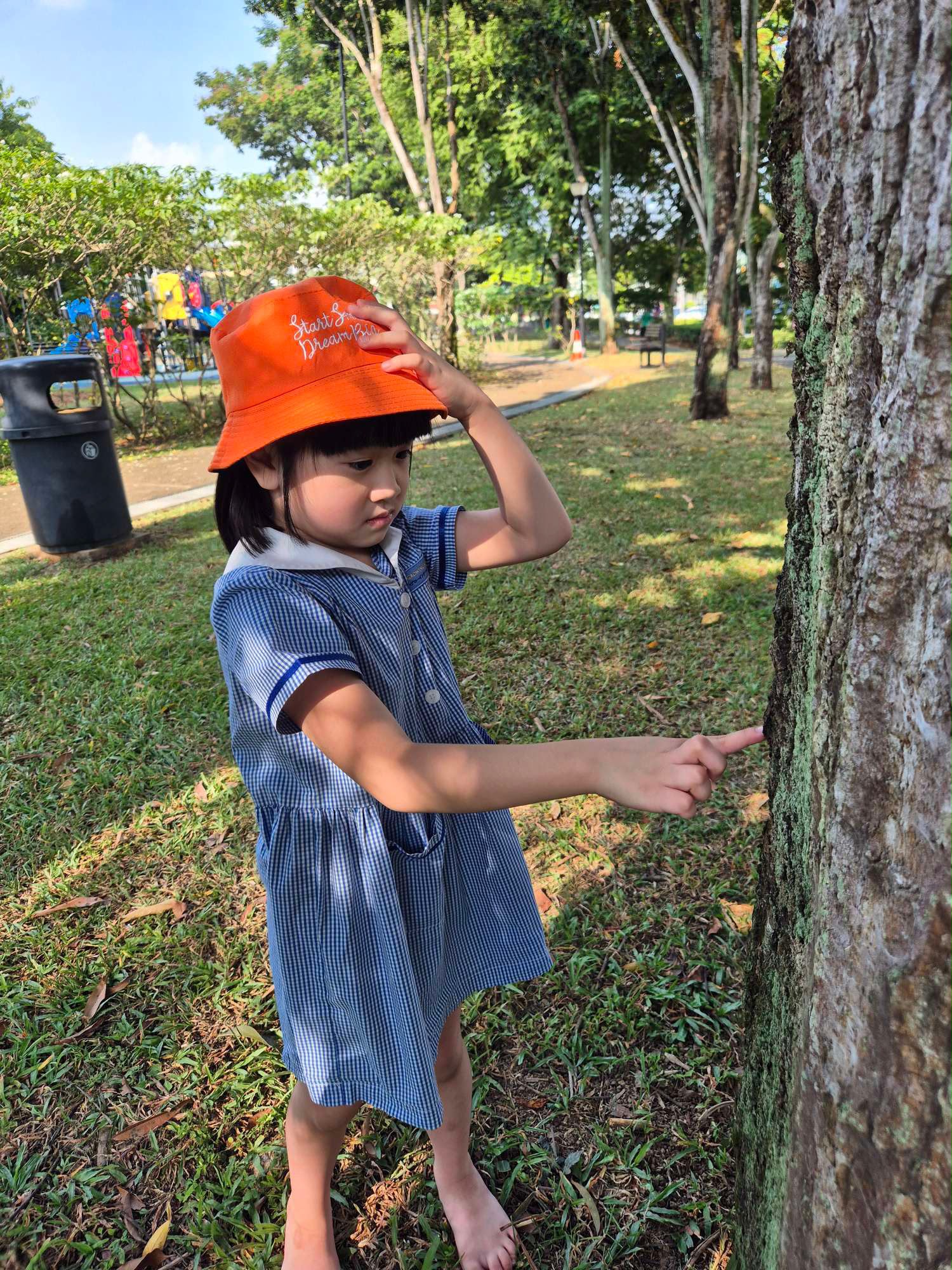 SSDB: Nuturing Young Hearts, Growing a Greener Tomorrow — photo 15