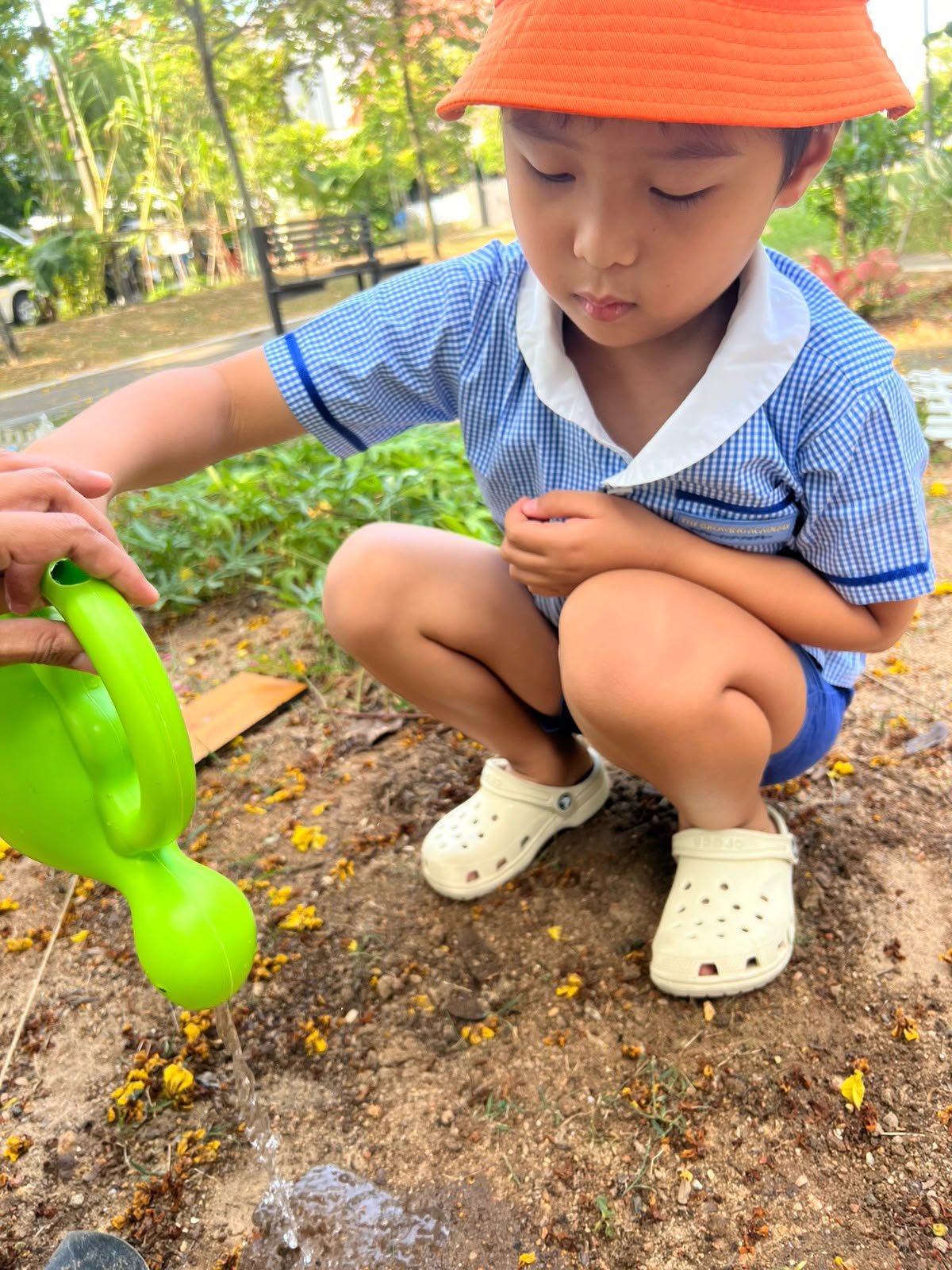 SSDB: Nuturing Young Hearts, Growing a Greener Tomorrow — photo 17