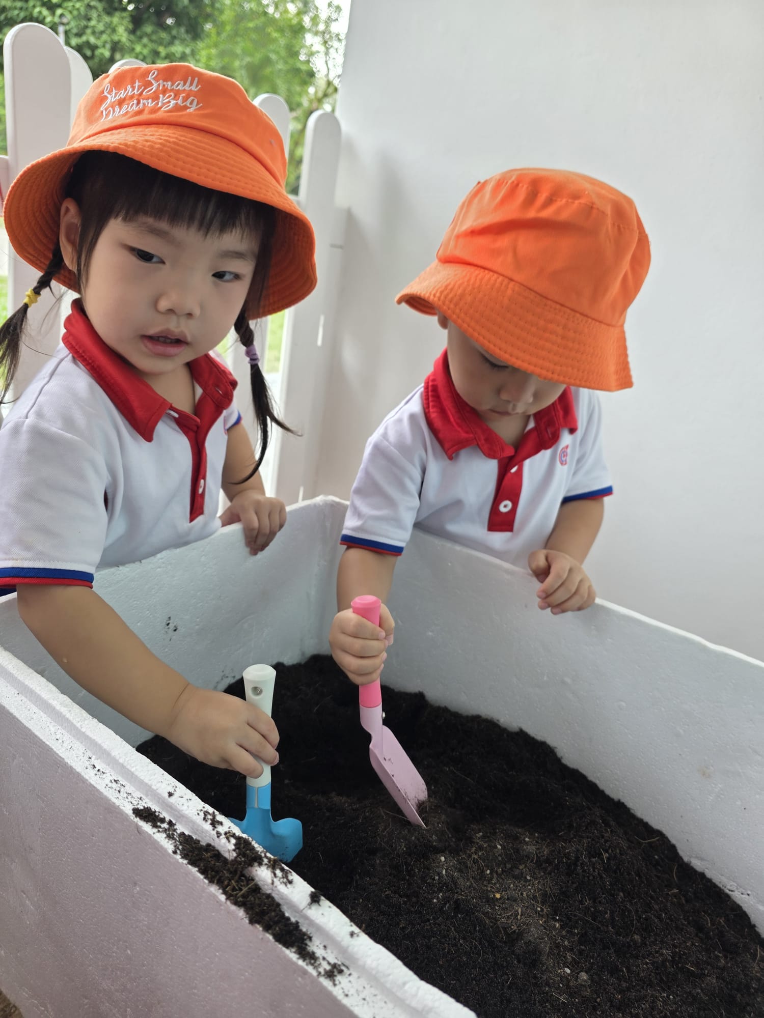 The Early Years children growing and caring for their own Xiao Bai Cai (小白菜) and share their product with the Elderly at The "Monfort Senior Care."