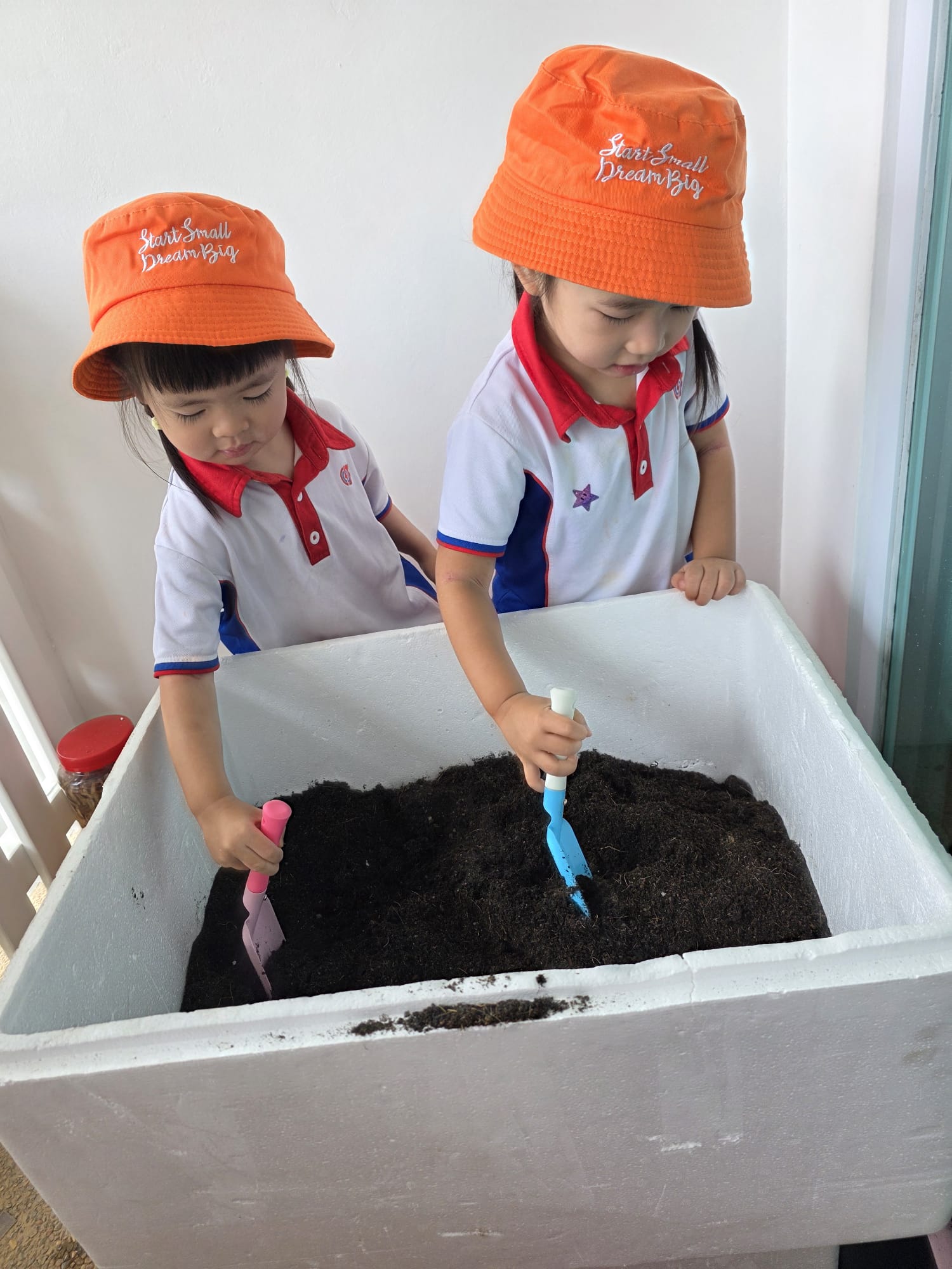 The Early Years children growing and caring for their own Xiao Bai Cai (小白菜) and share their product with the Elderly at The "Monfort Senior Care." — photo 2