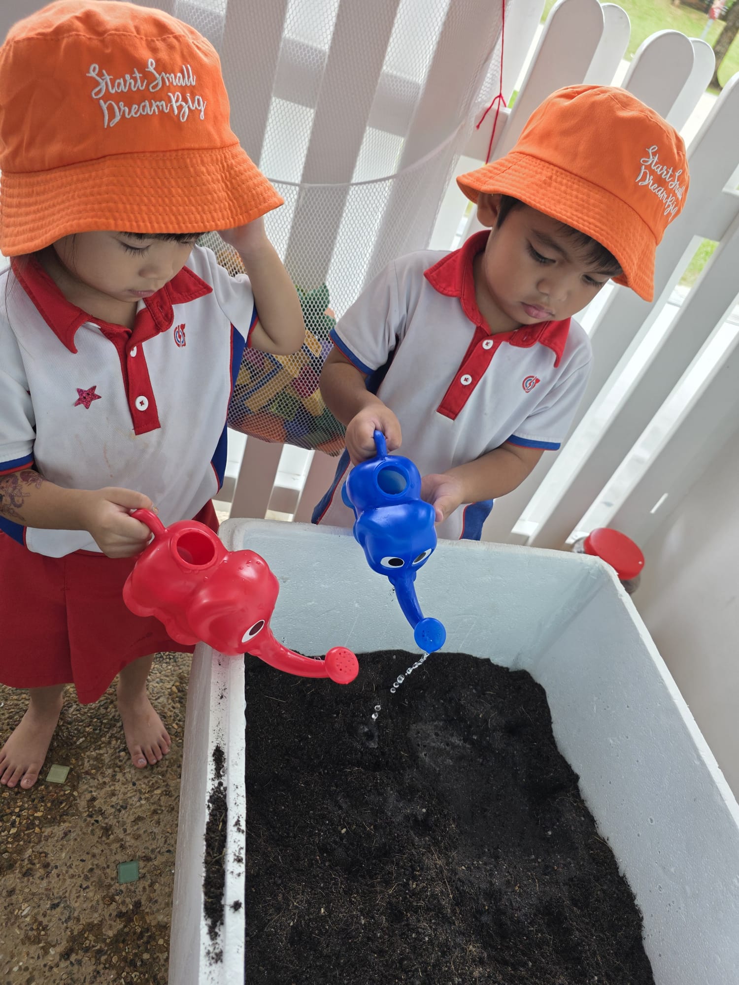 The Early Years children growing and caring for their own Xiao Bai Cai (小白菜) and share their product with the Elderly at The "Monfort Senior Care." — photo 3