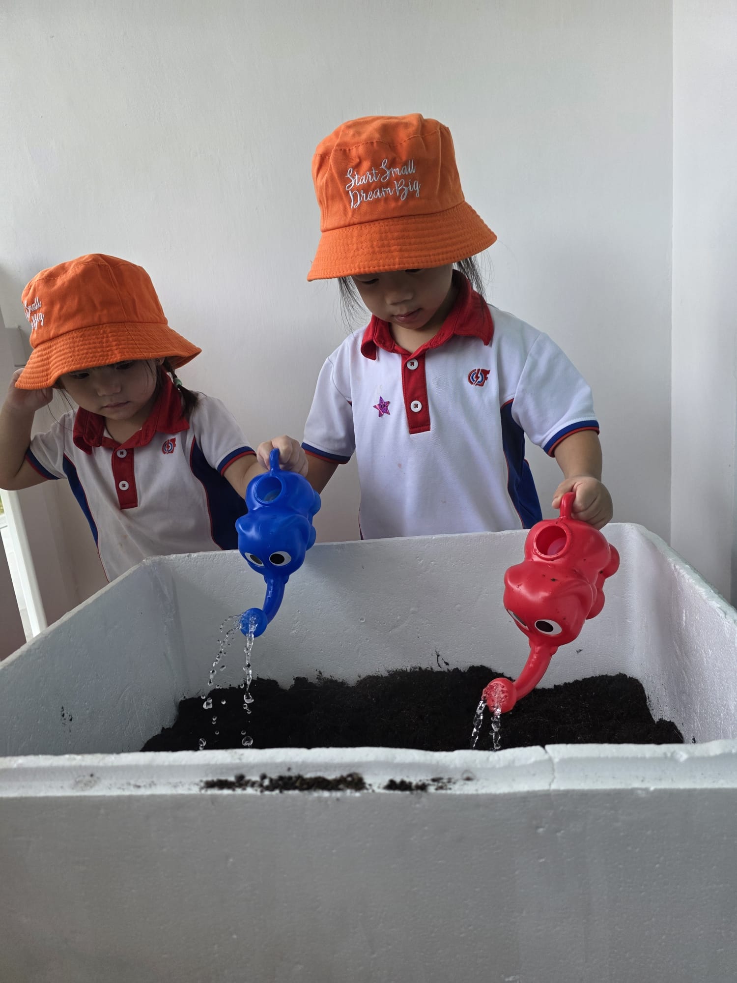 The Early Years children growing and caring for their own Xiao Bai Cai (小白菜) and share their product with the Elderly at The "Monfort Senior Care." — photo 4