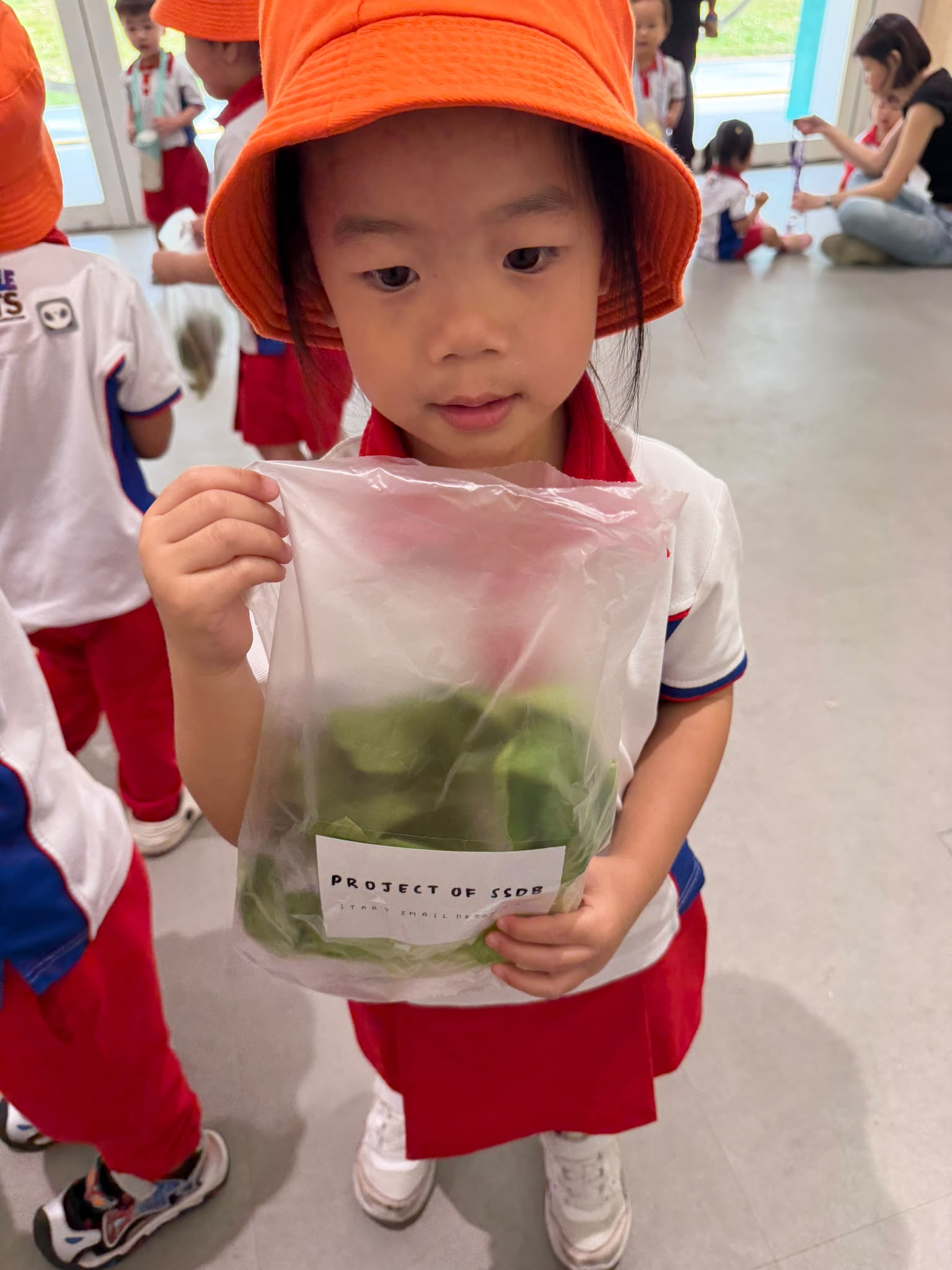 The Early Years children growing and caring for their own Xiao Bai Cai (小白菜) and share their product with the Elderly at The "Monfort Senior Care." — photo 11